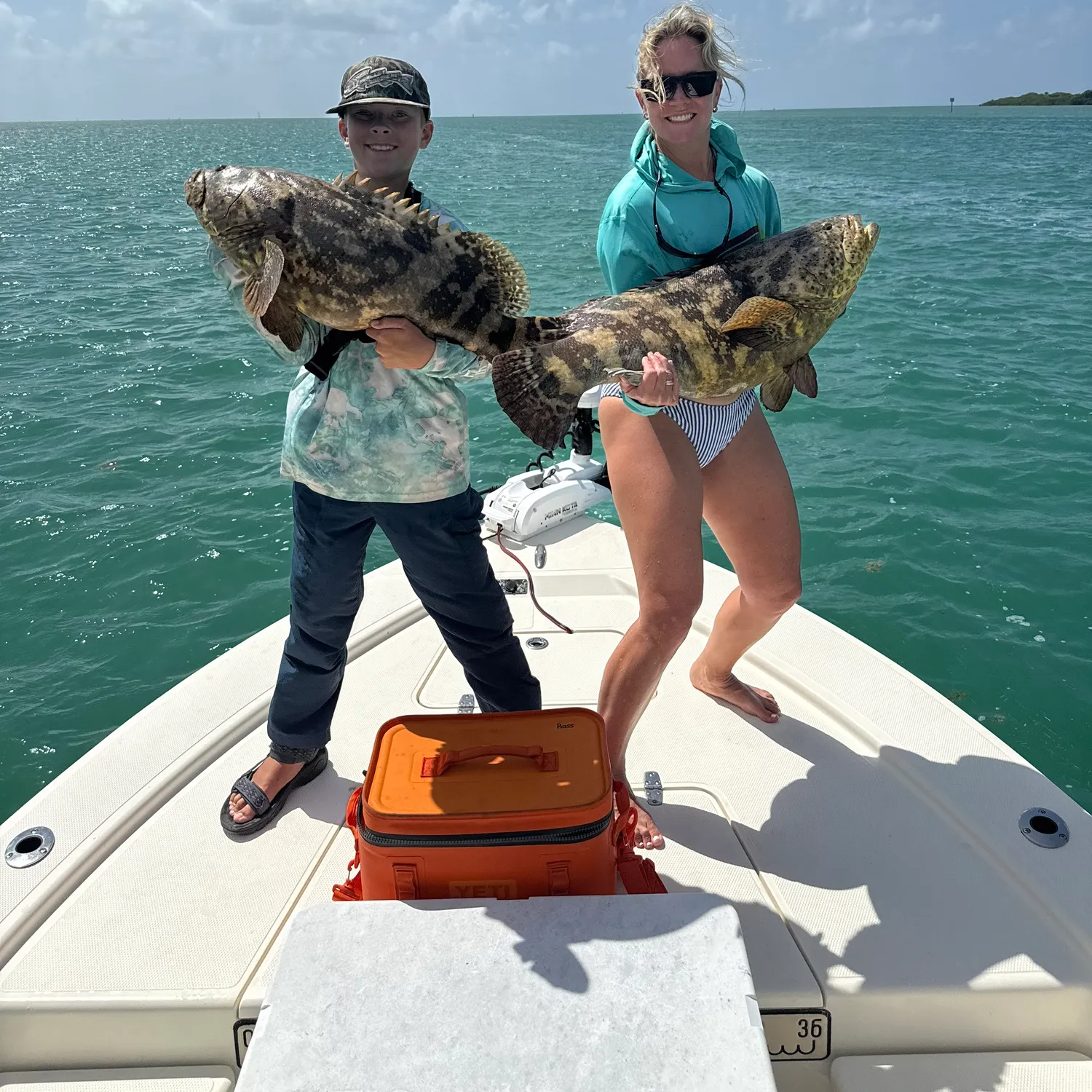 The most recent Atlantic goliath grouper catches on Fishbrain