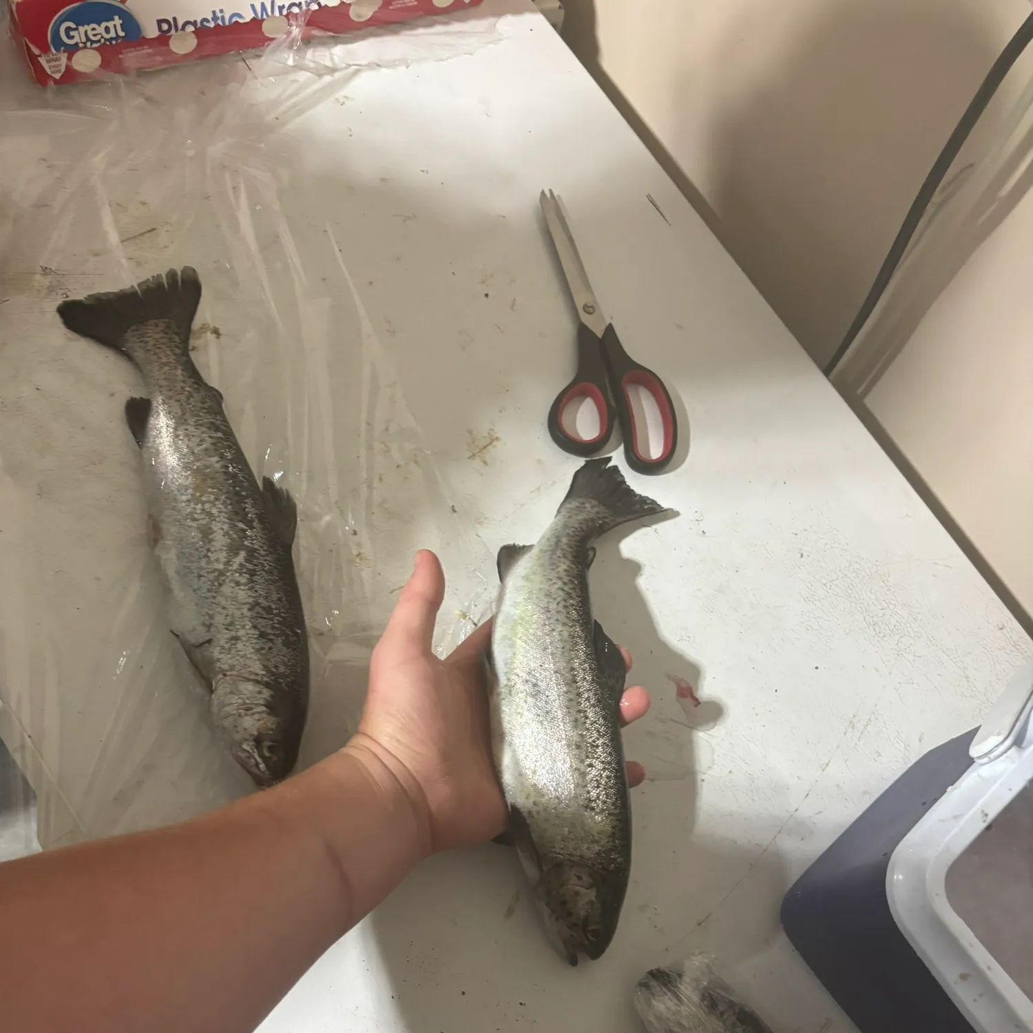 angler catch
