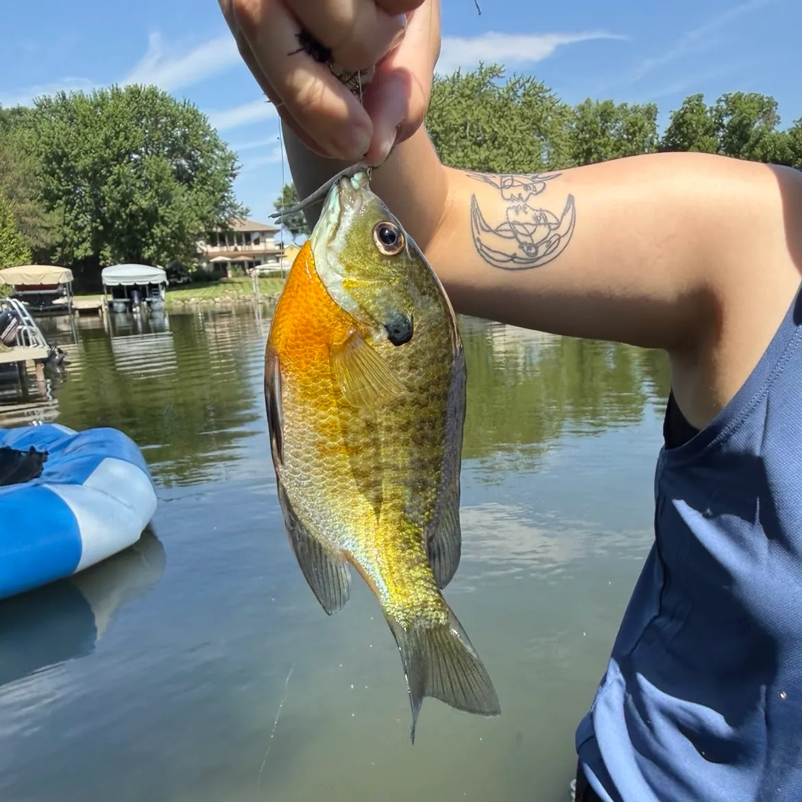 recently logged catches