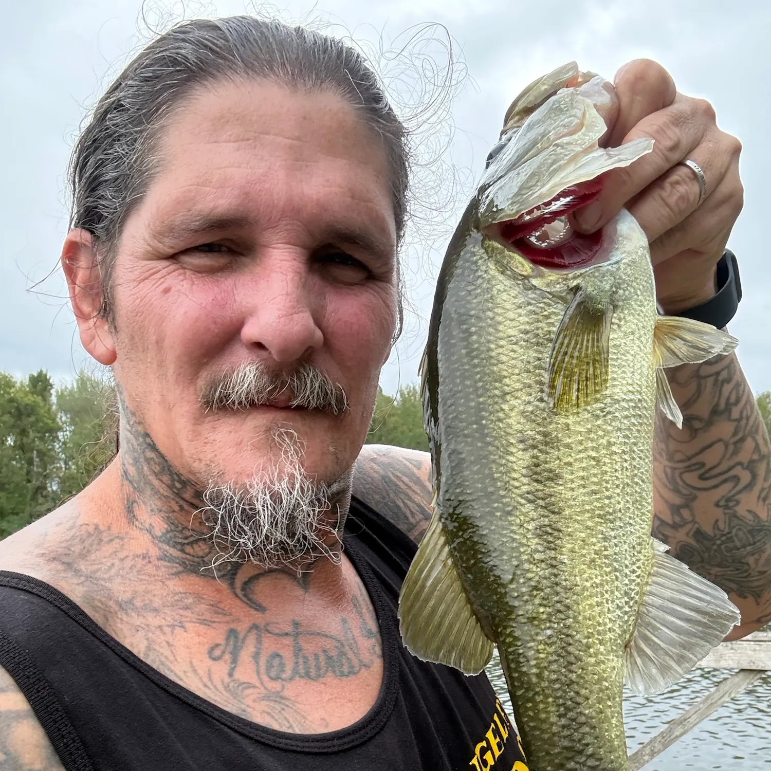 Largemouth bass caught on Fishbrain