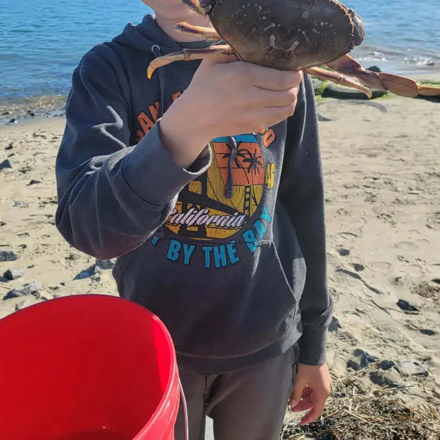 The most recent Dungeness crab catches on Fishbrain