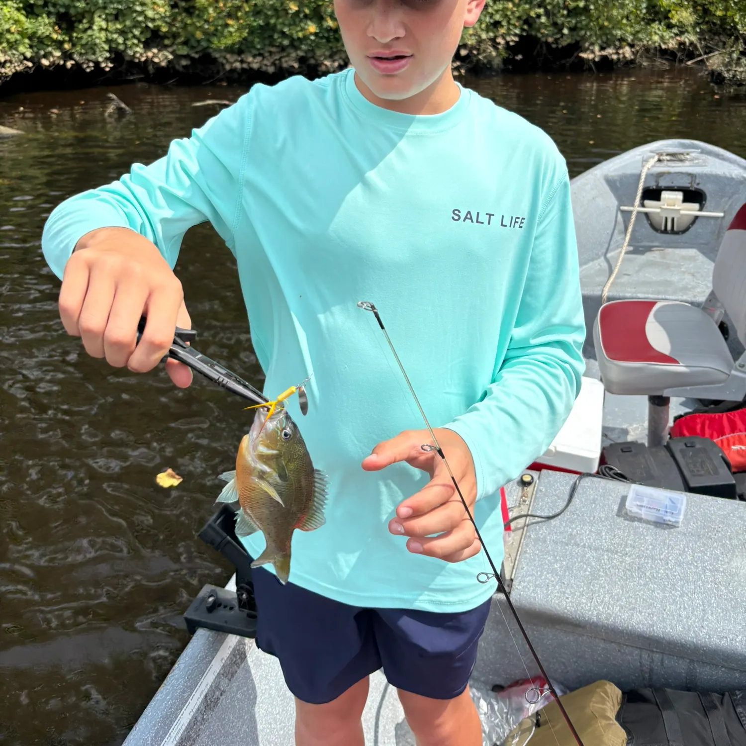 Bluegill caught on Fishbrain