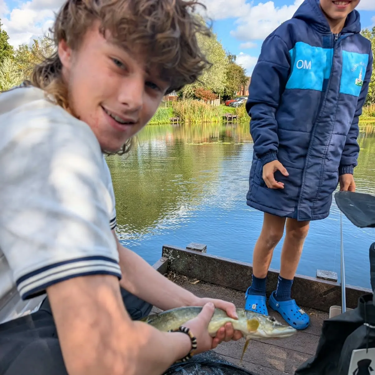 Northern pike caught on Fishbrain