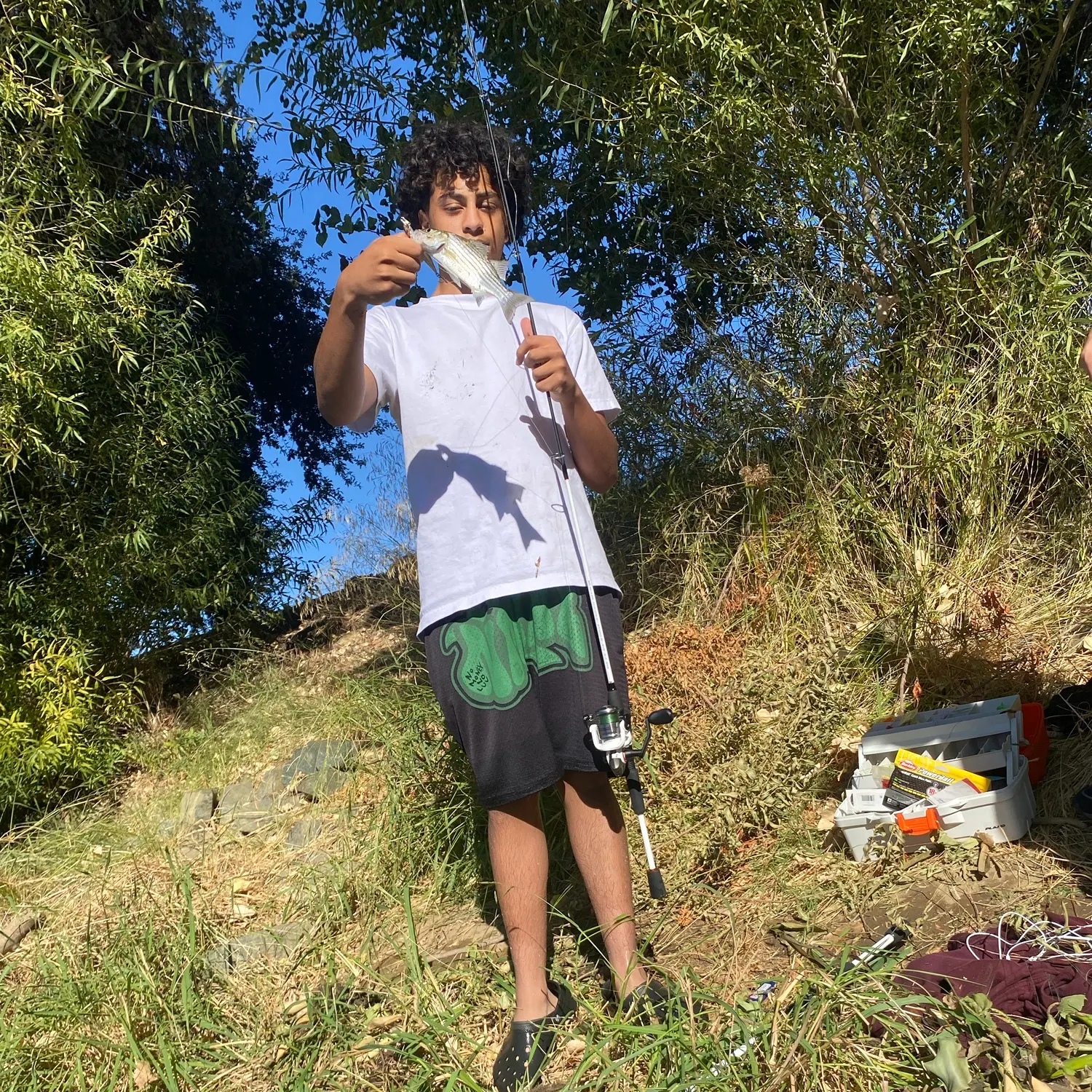 Fish caught on Fishbrain