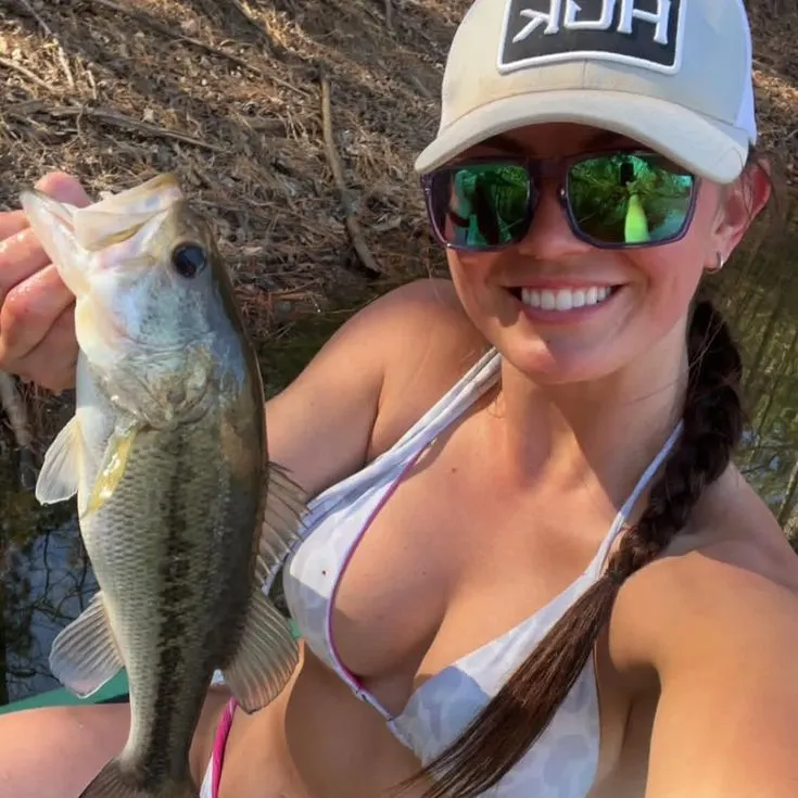 The most recent Largemouth bass catches on Fishbrain