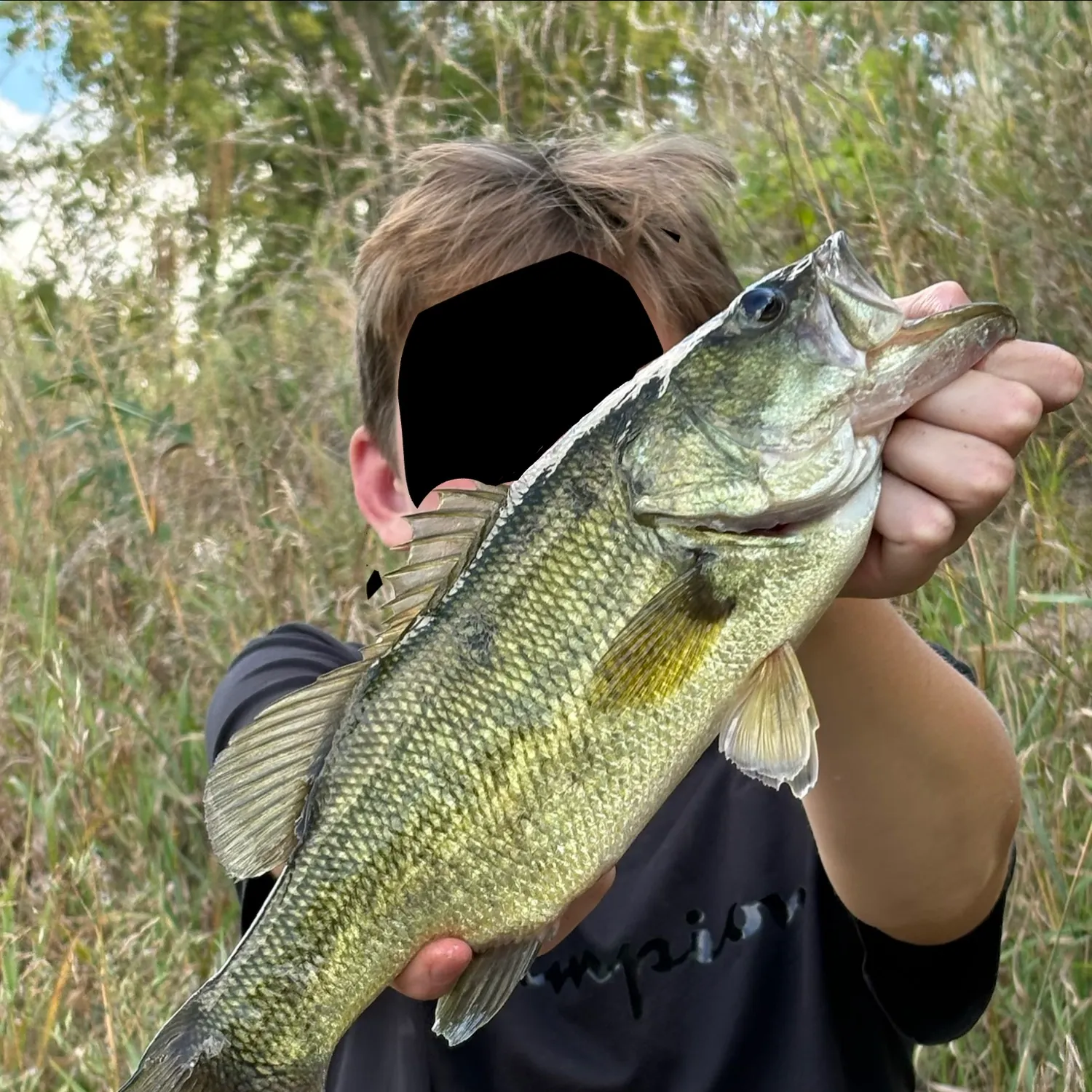 Largemouth bass caught on Fishbrain