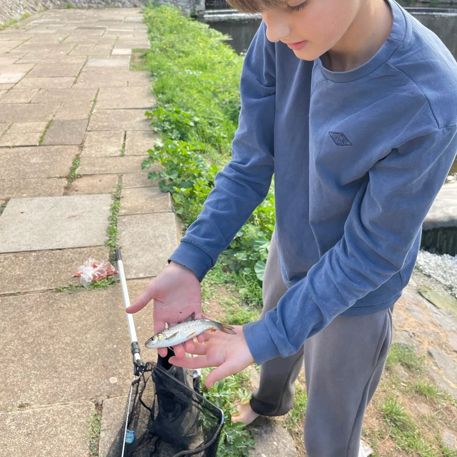 Fish caught on Fishbrain