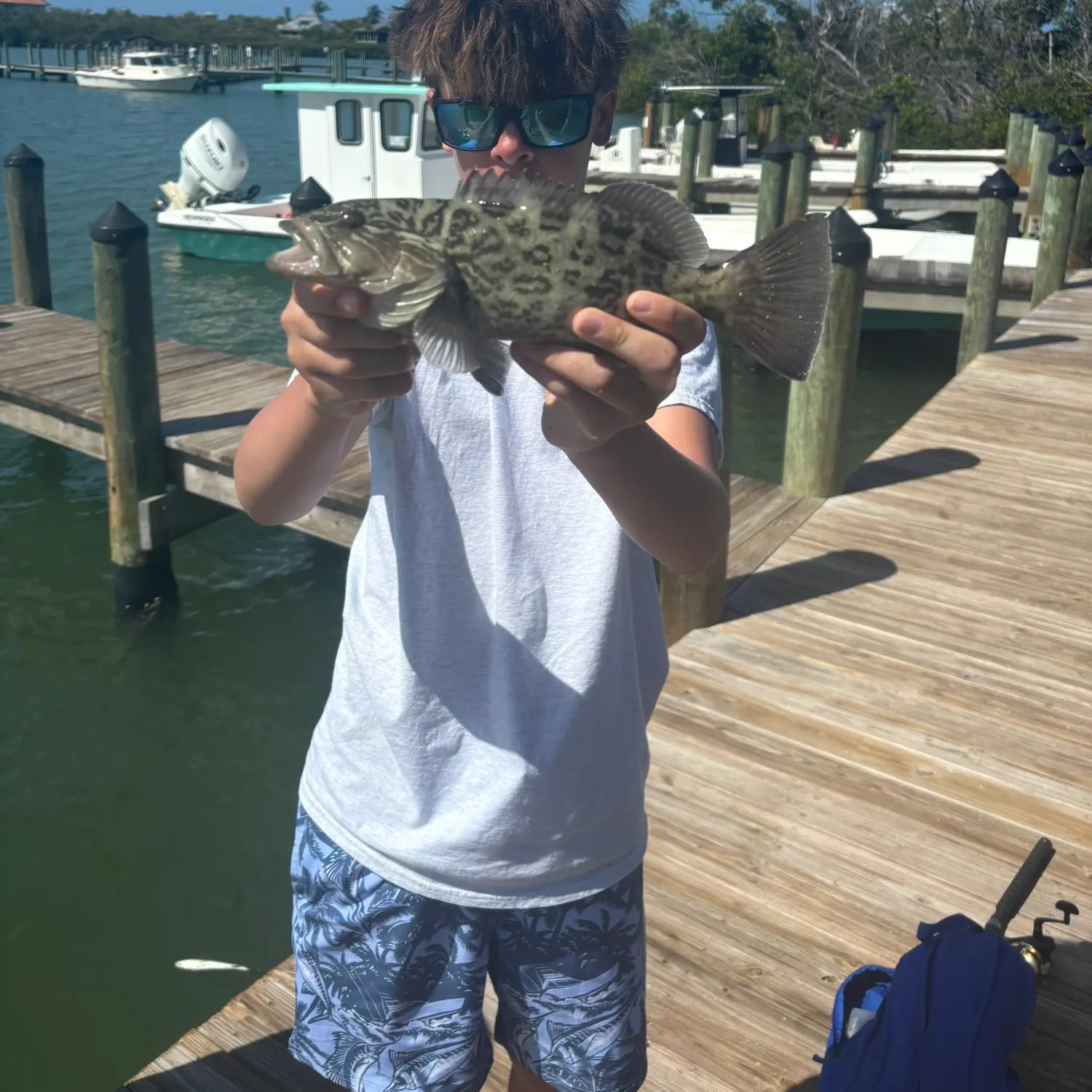 The most recent Gag grouper catches on Fishbrain