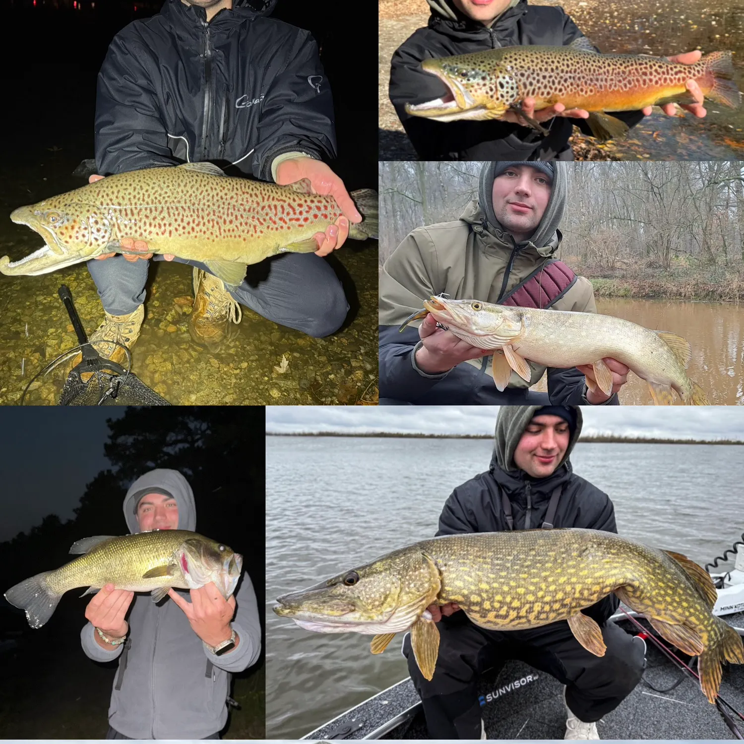 recently logged catches