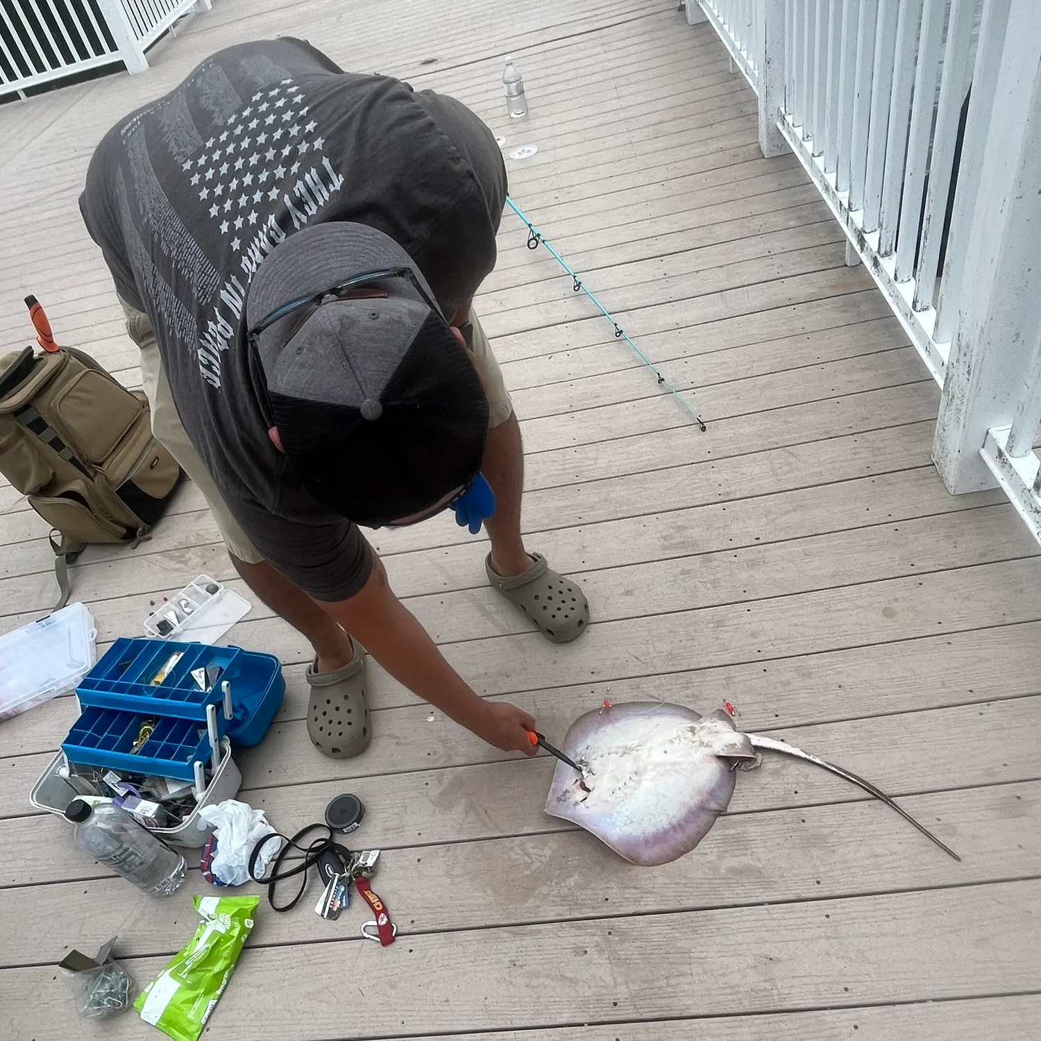 The most recent Starry ray catches on Fishbrain