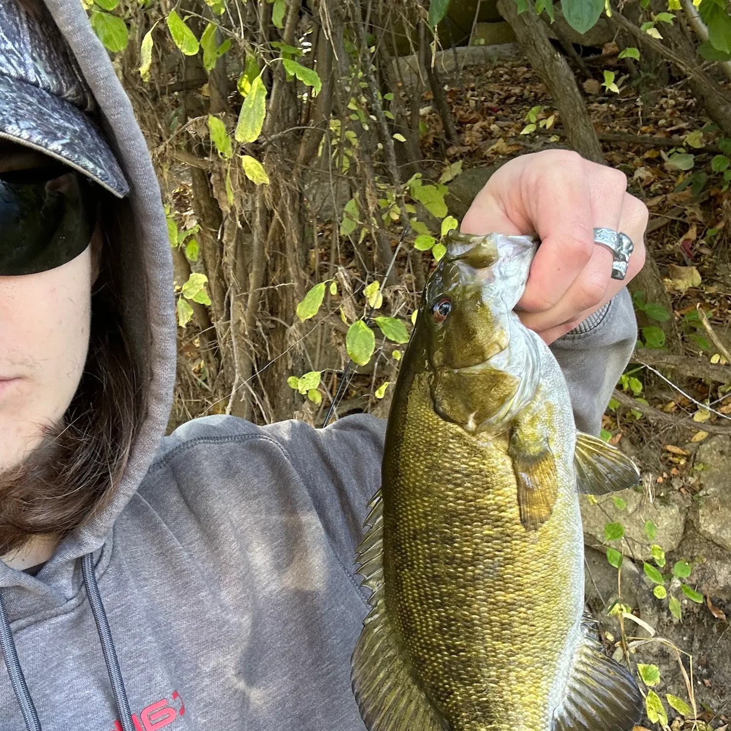 Smallmouth bass caught on Fishbrain