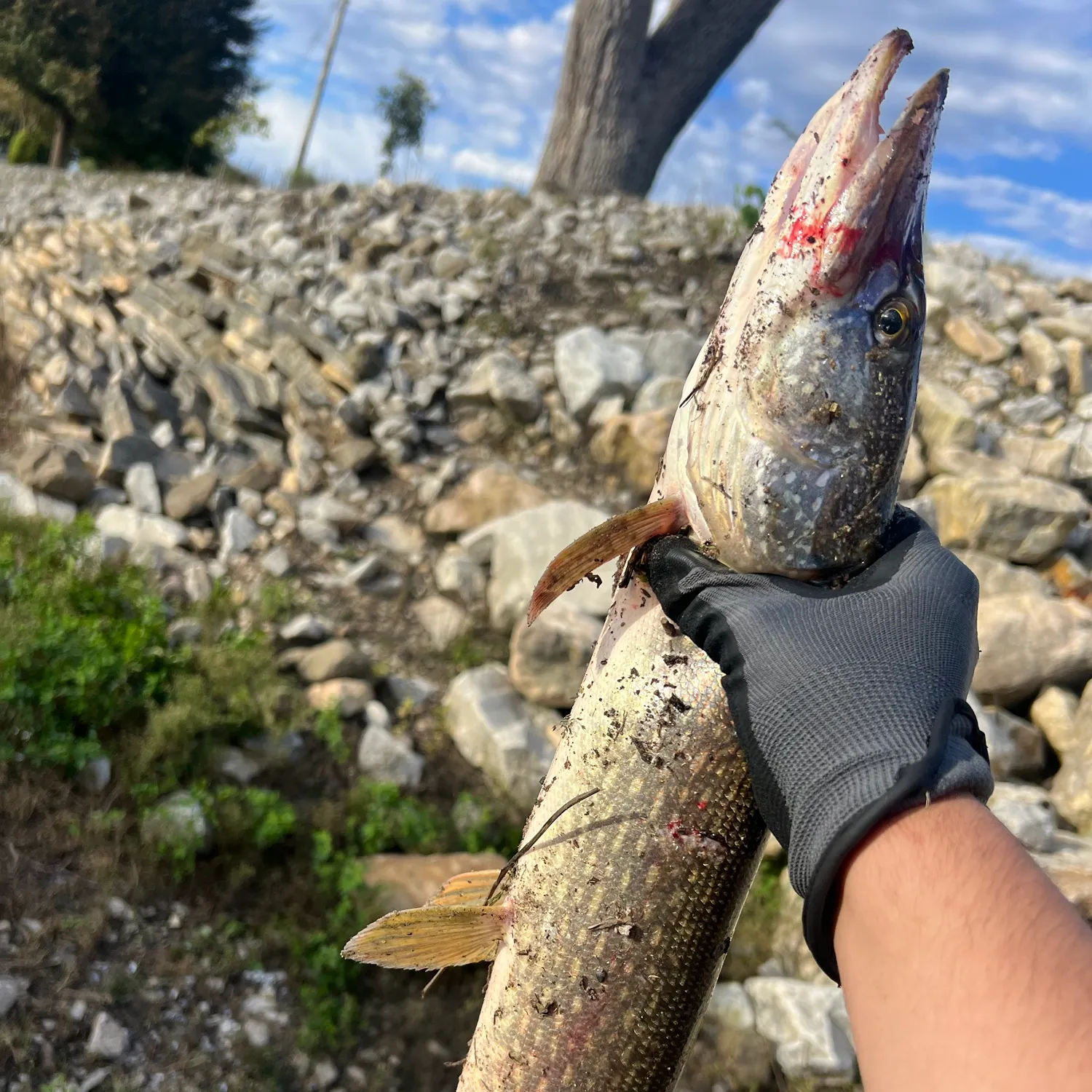 catch