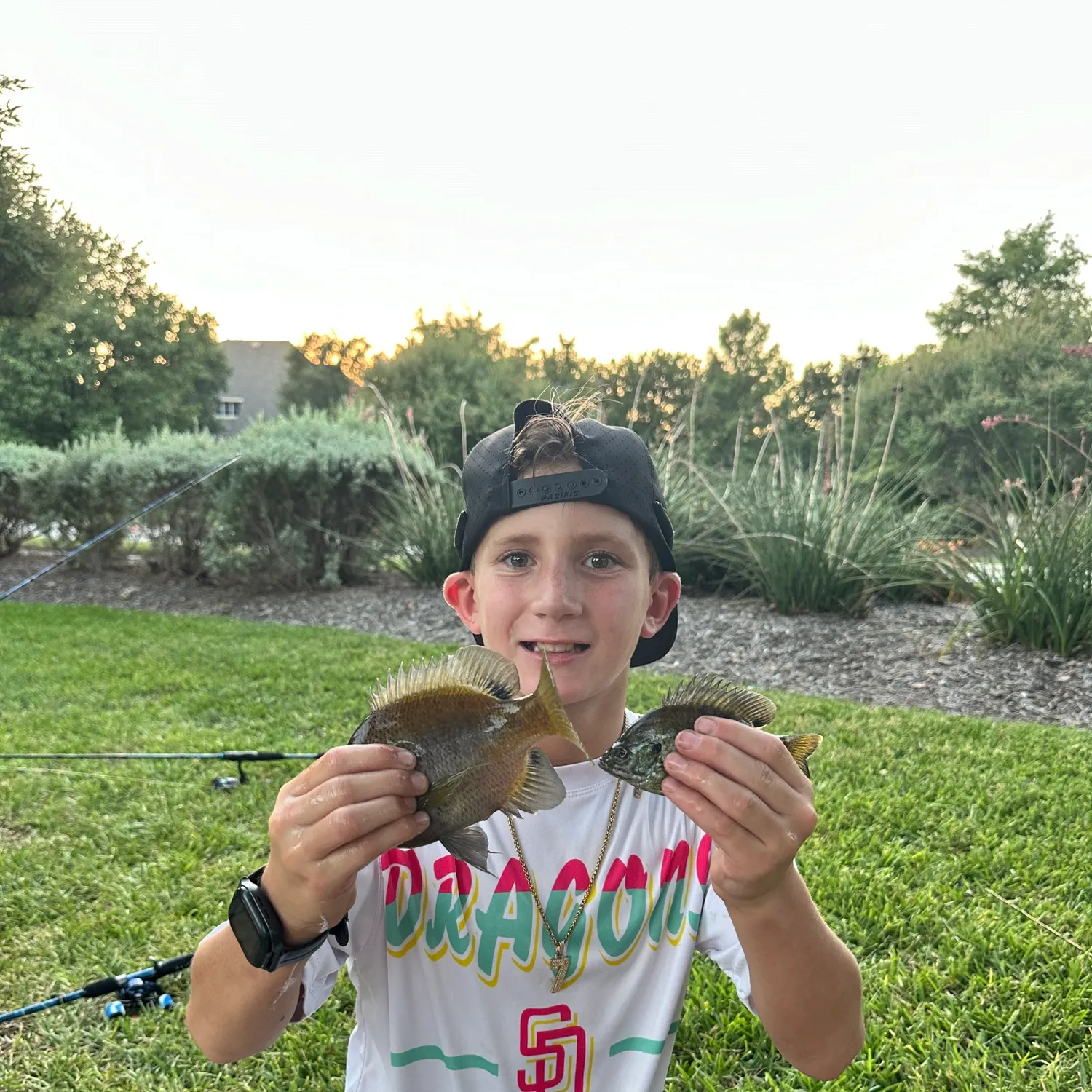 recently logged catches