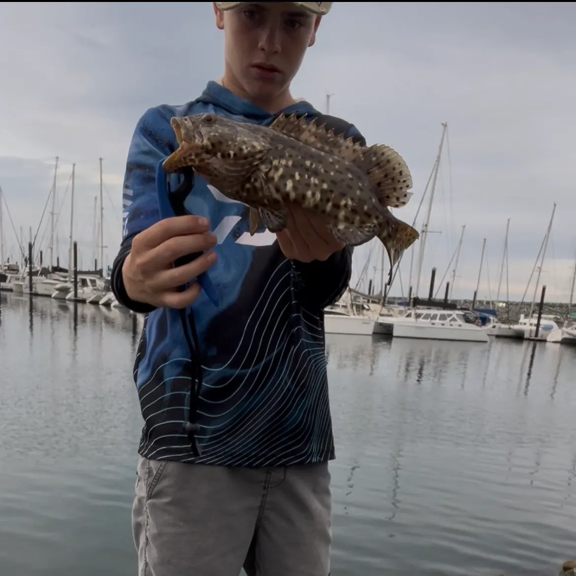 The most recent Malabar grouper catches on Fishbrain