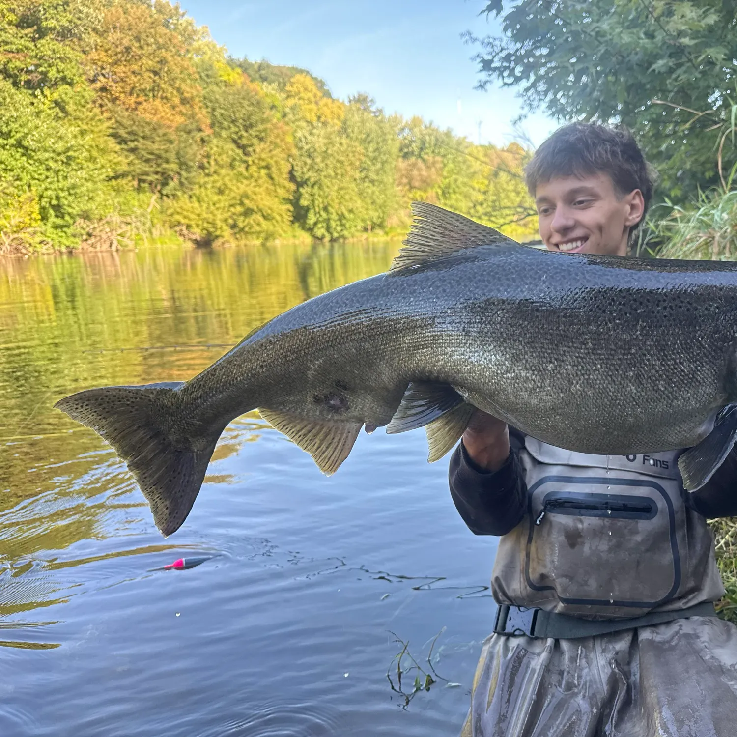 Chinook salmon caught on Fishbrain