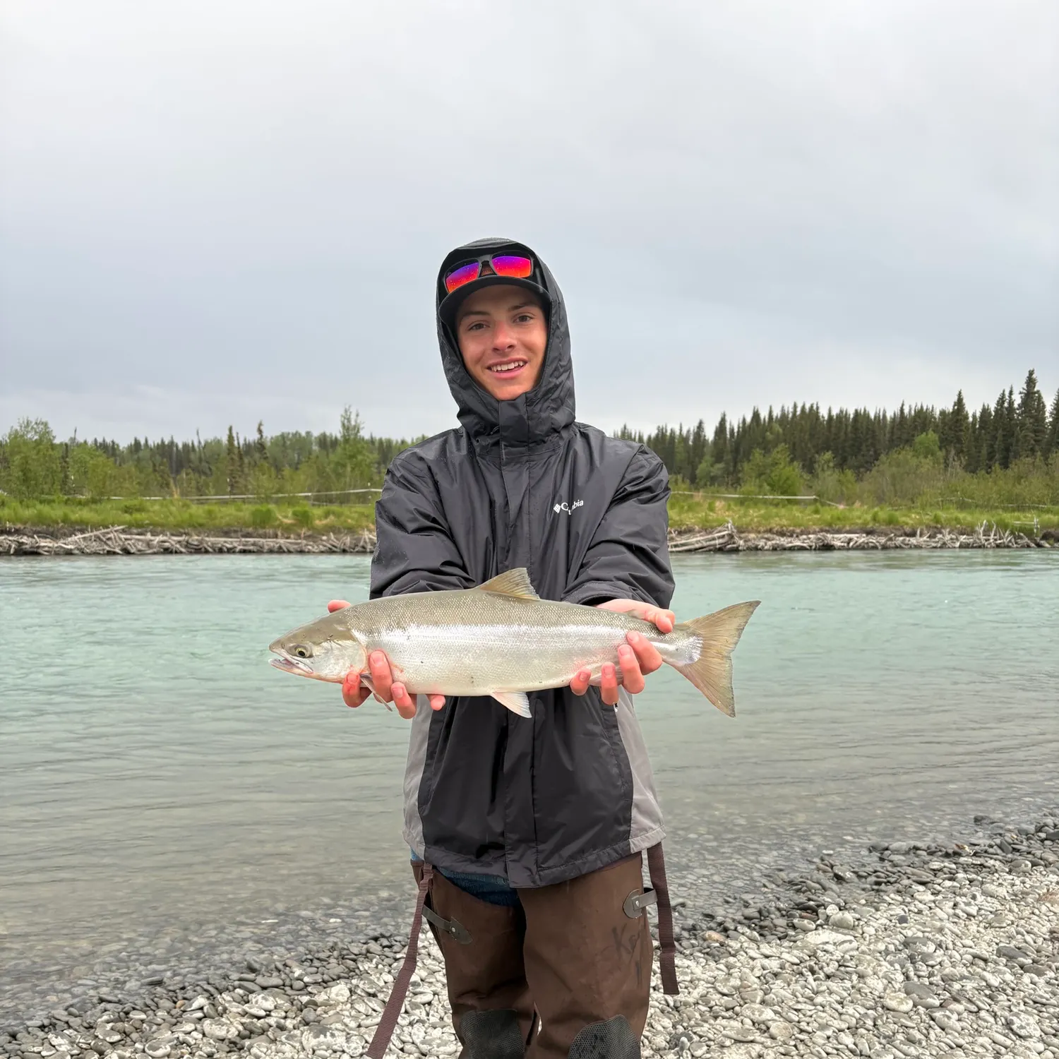 The most recent Sockeye salmon catches on Fishbrain