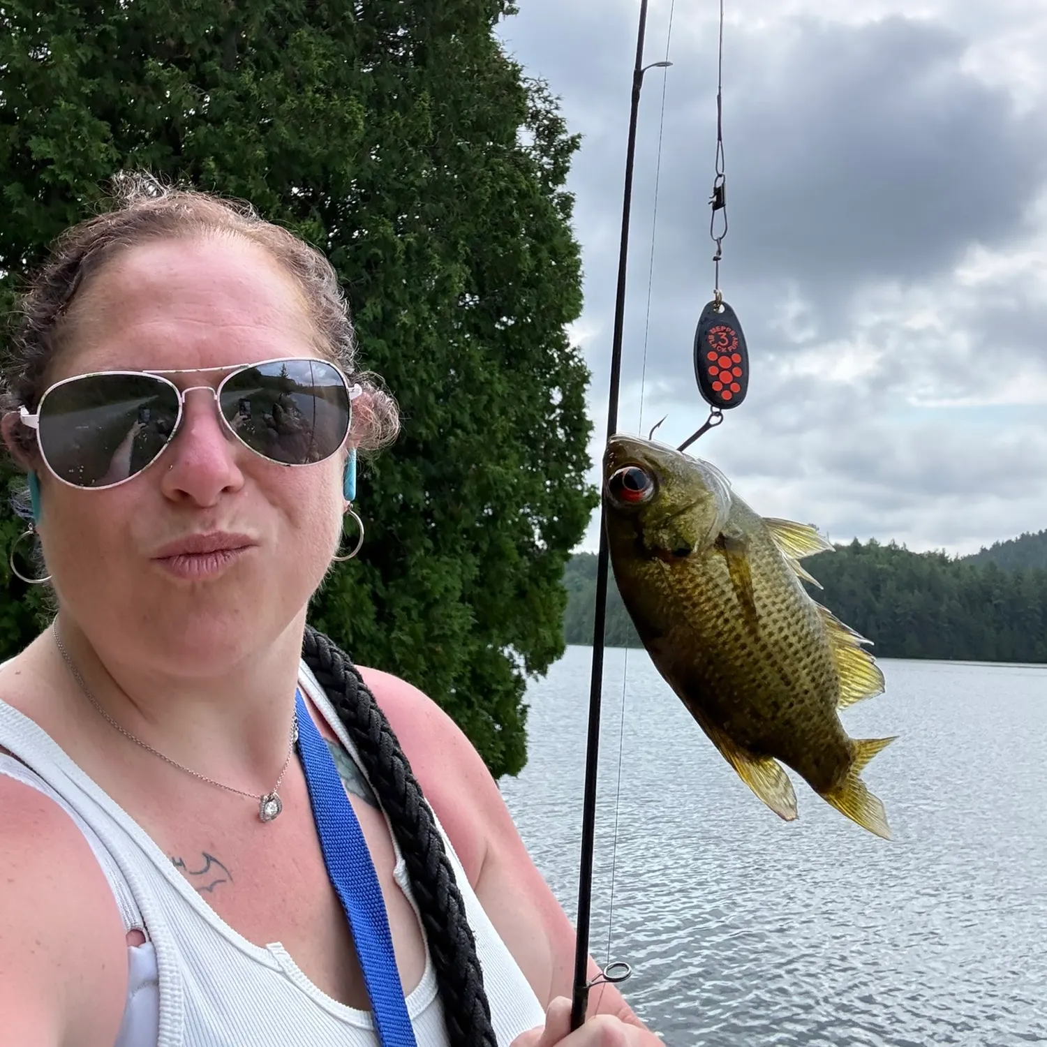Rock bass caught on Fishbrain