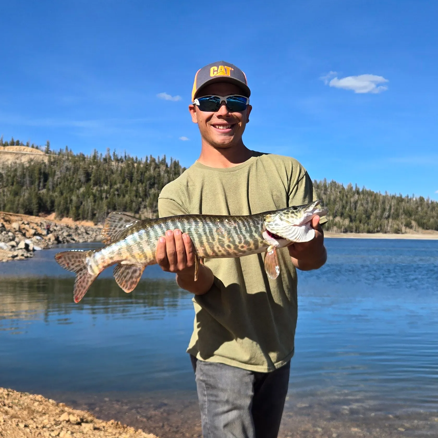 The most recent Tiger muskellunge catches on Fishbrain