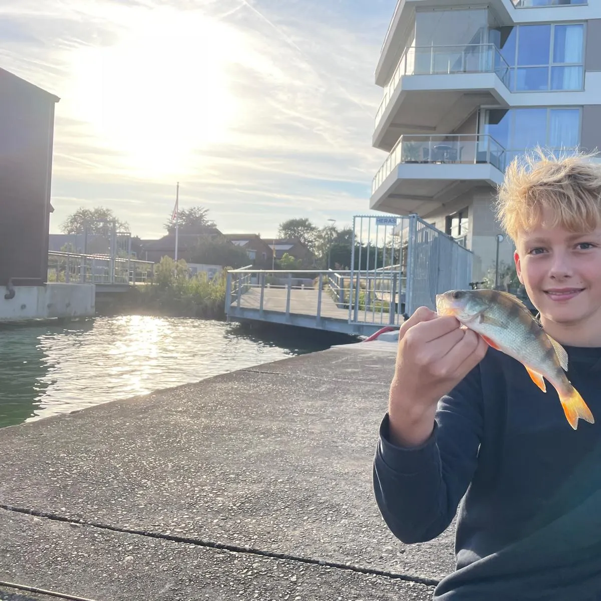 European perch caught on Fishbrain