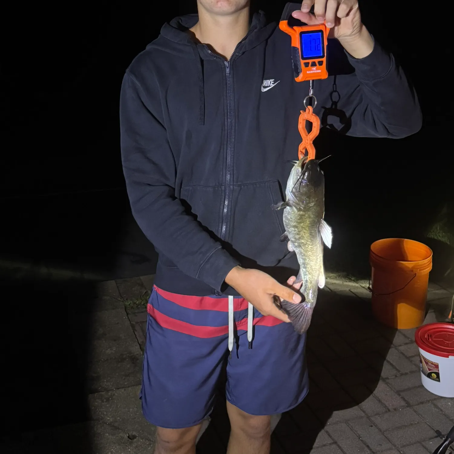 White bullhead caught on Fishbrain