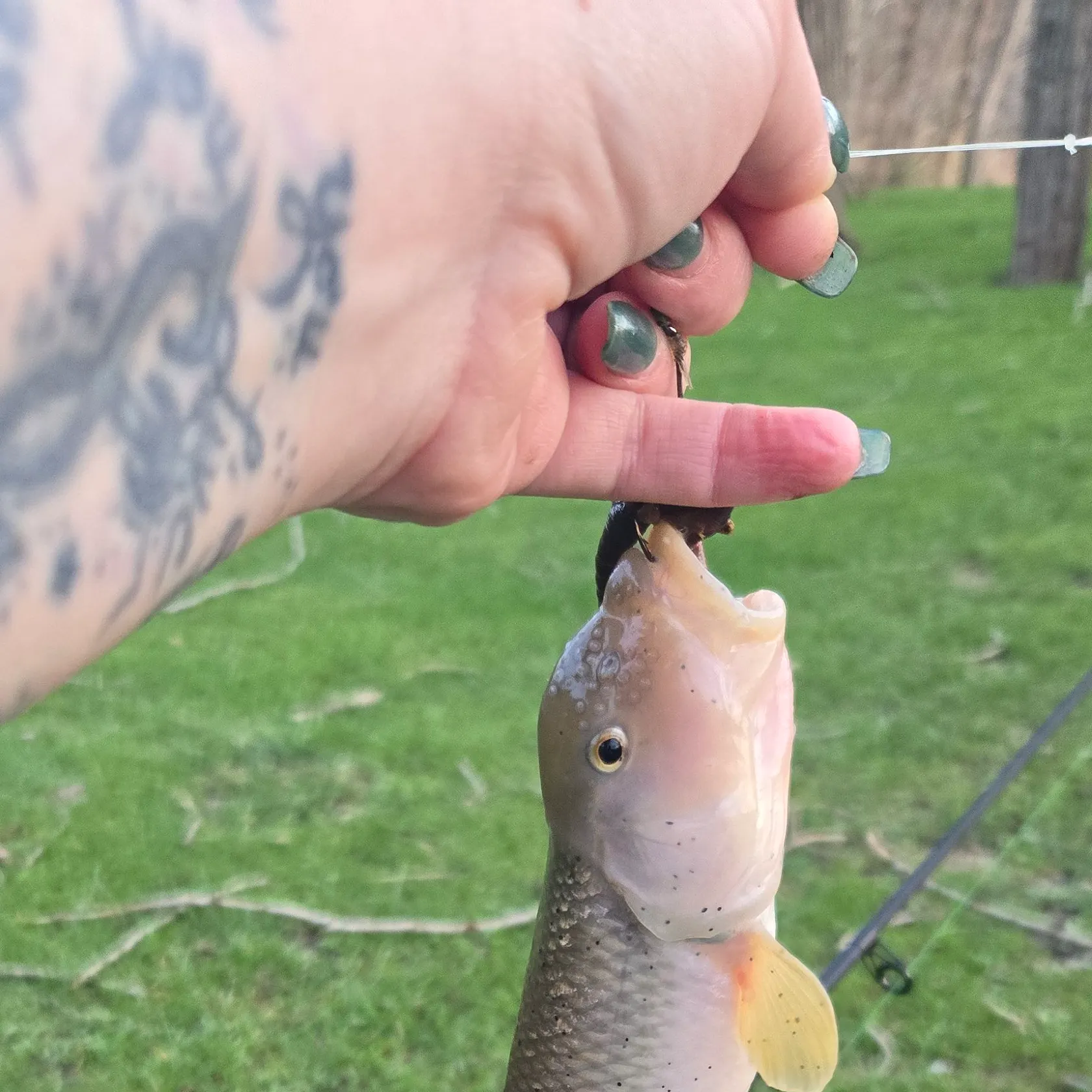 catch