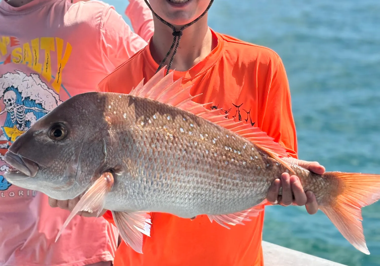 Australasian snapper