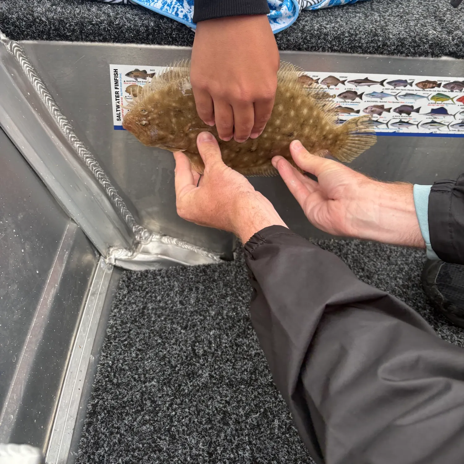 The most recent Largetooth flounder catches on Fishbrain