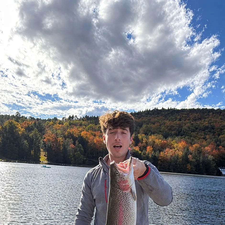 Rainbow trout caught on Fishbrain