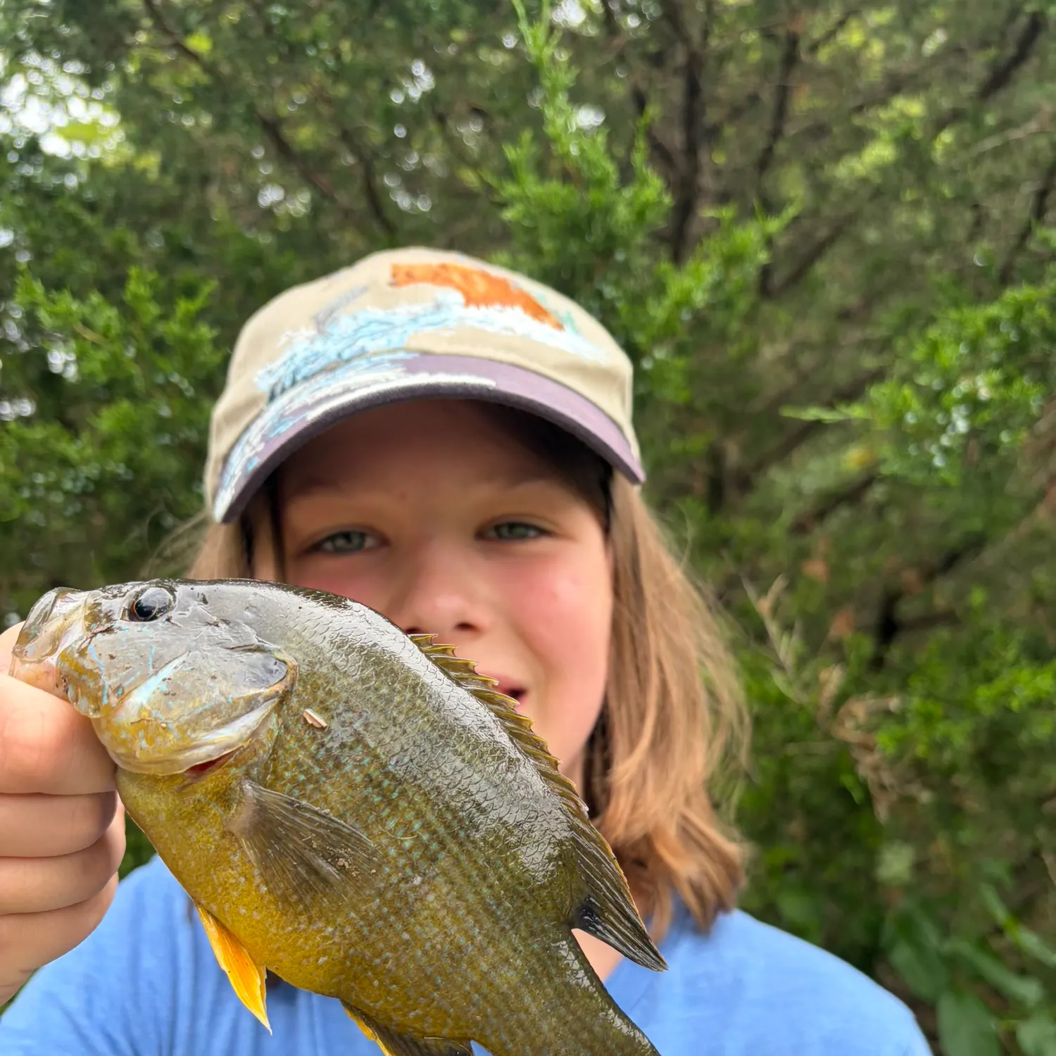 Green sunfish caught on Fishbrain