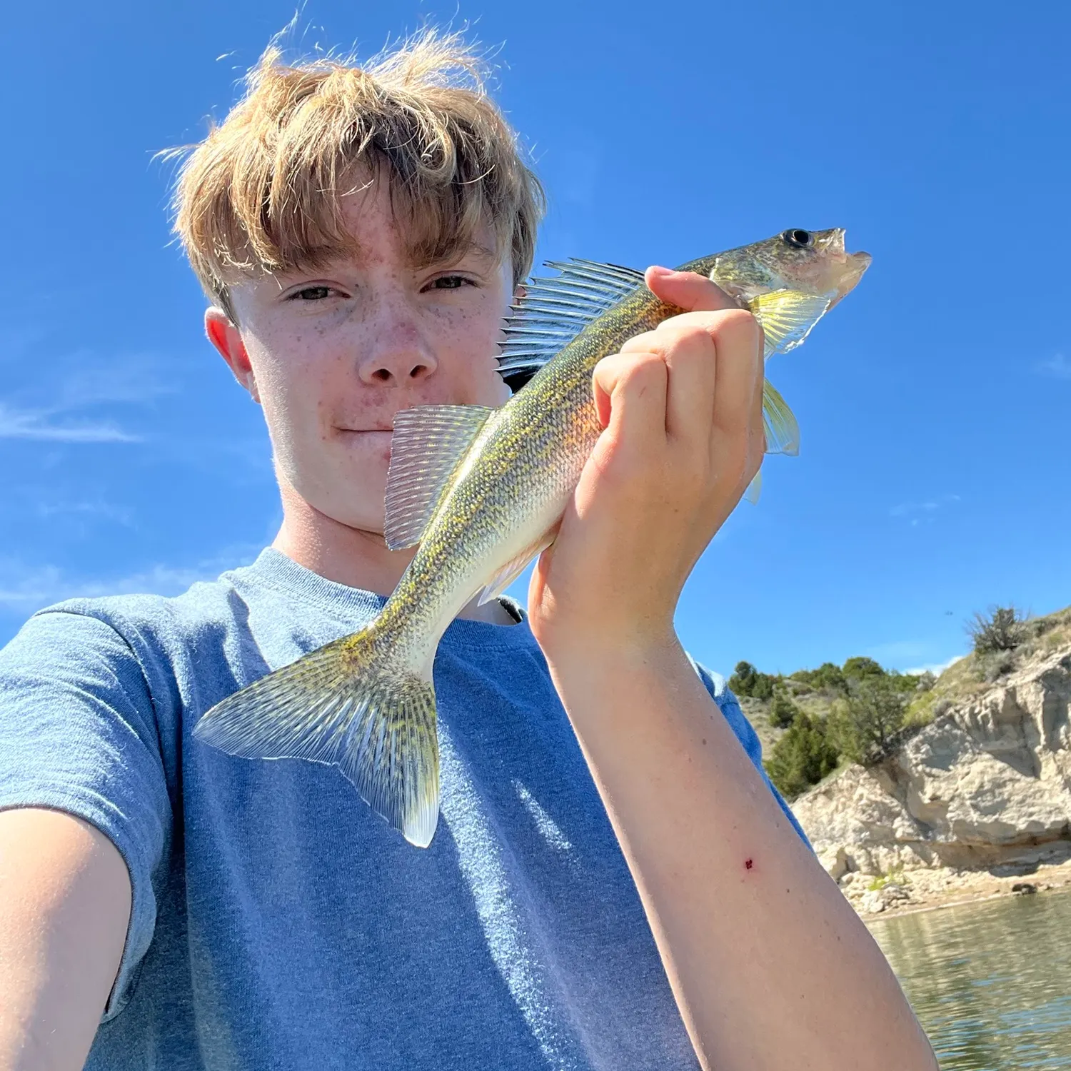 Walleye caught on Fishbrain