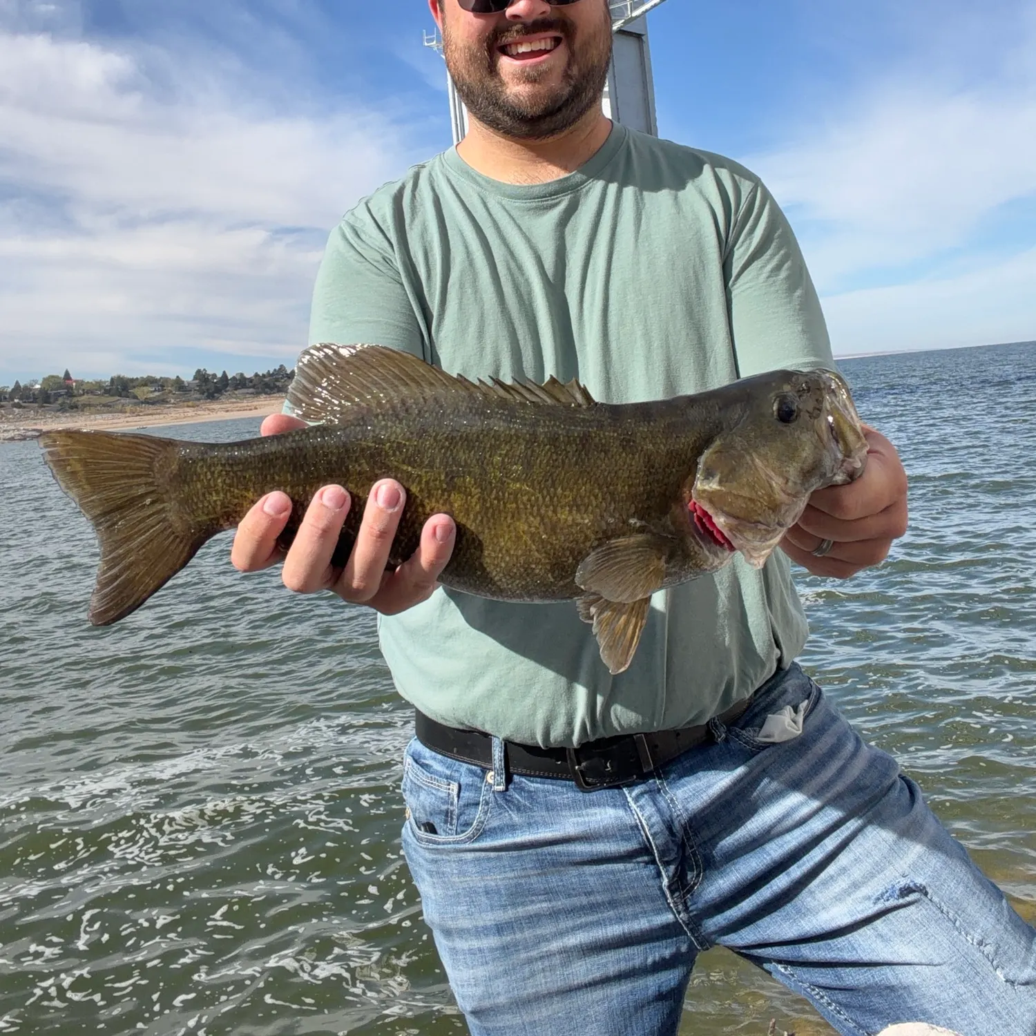 Smallmouth bass caught on Fishbrain