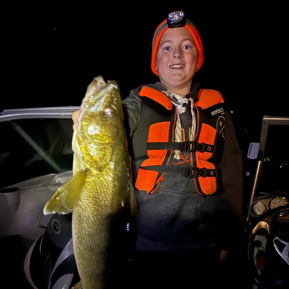 Walleye caught on Fishbrain