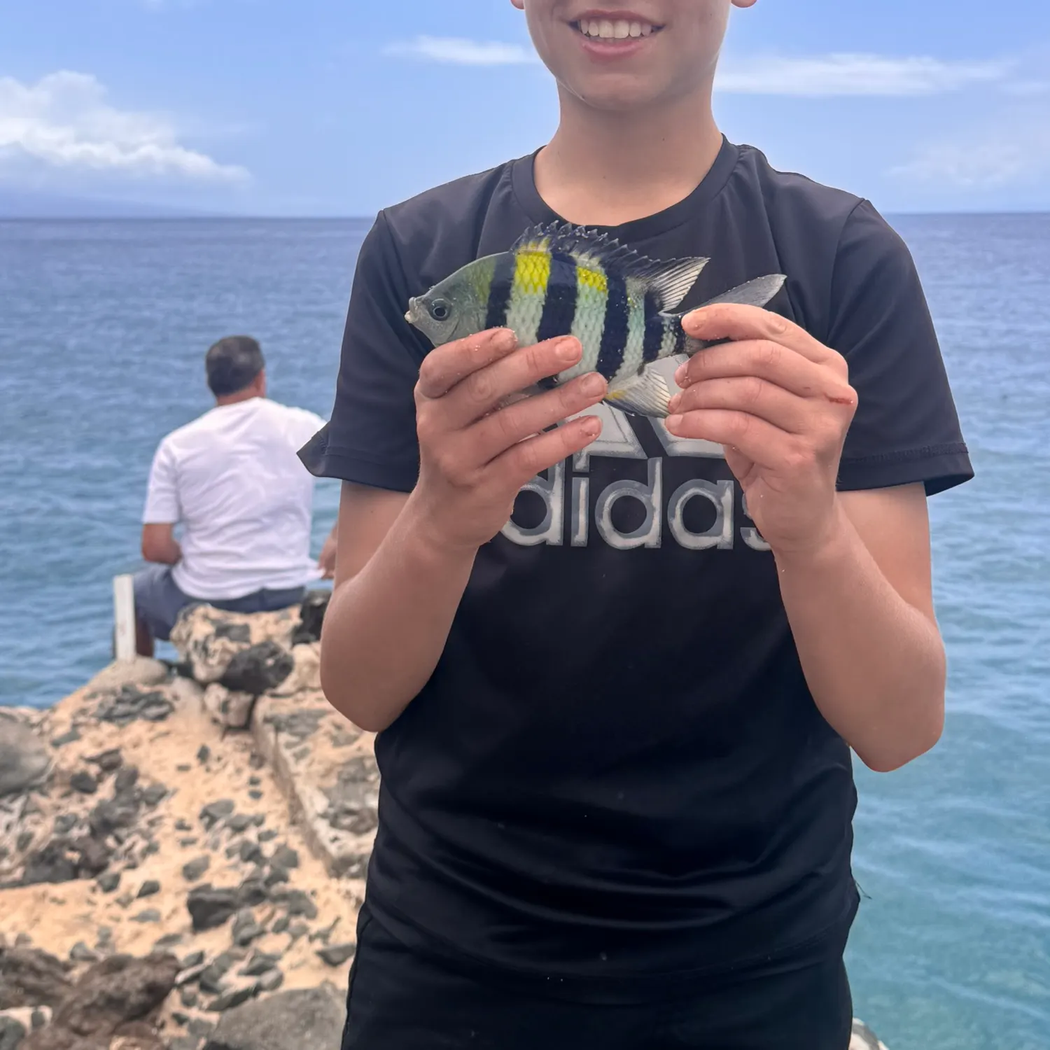 The most recent Hawaiian sergeant major catches on Fishbrain