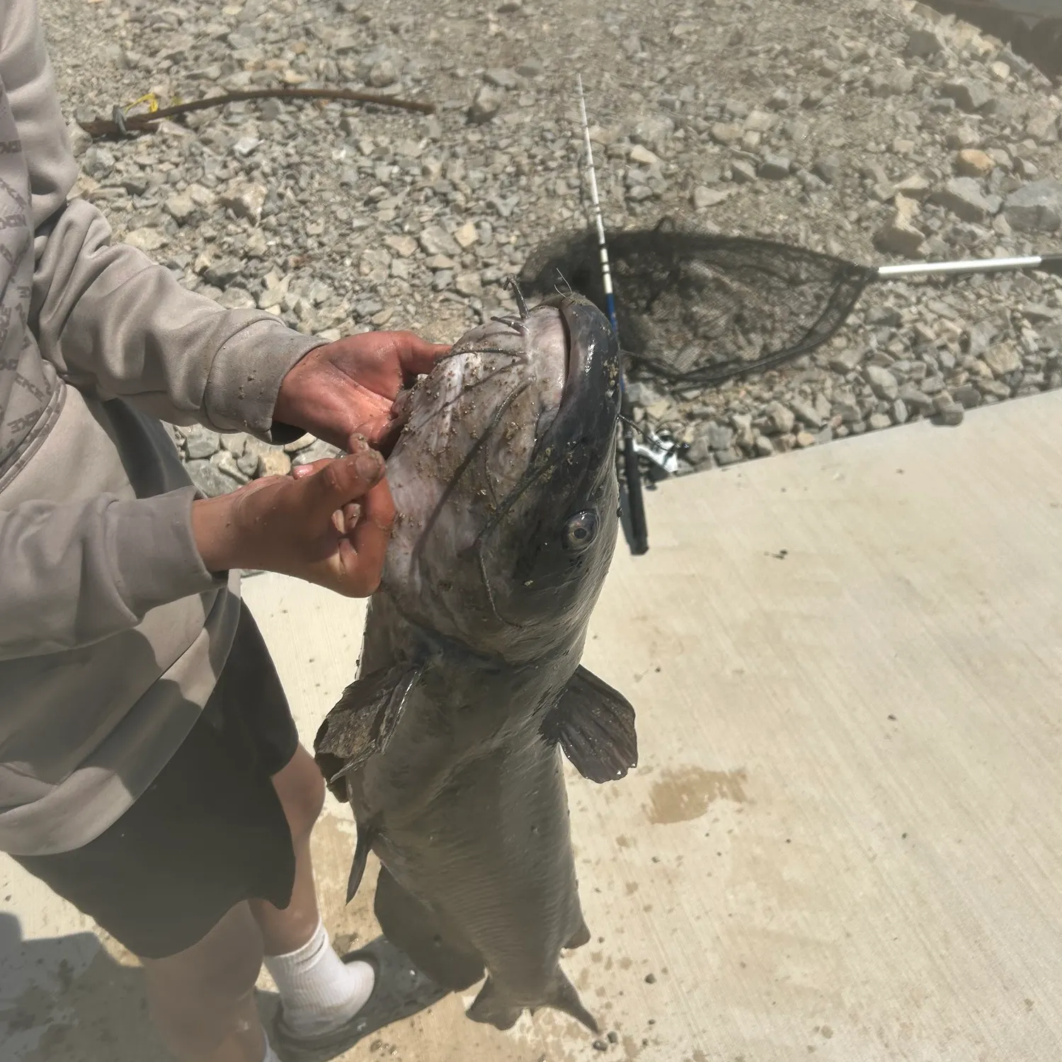 angler catch