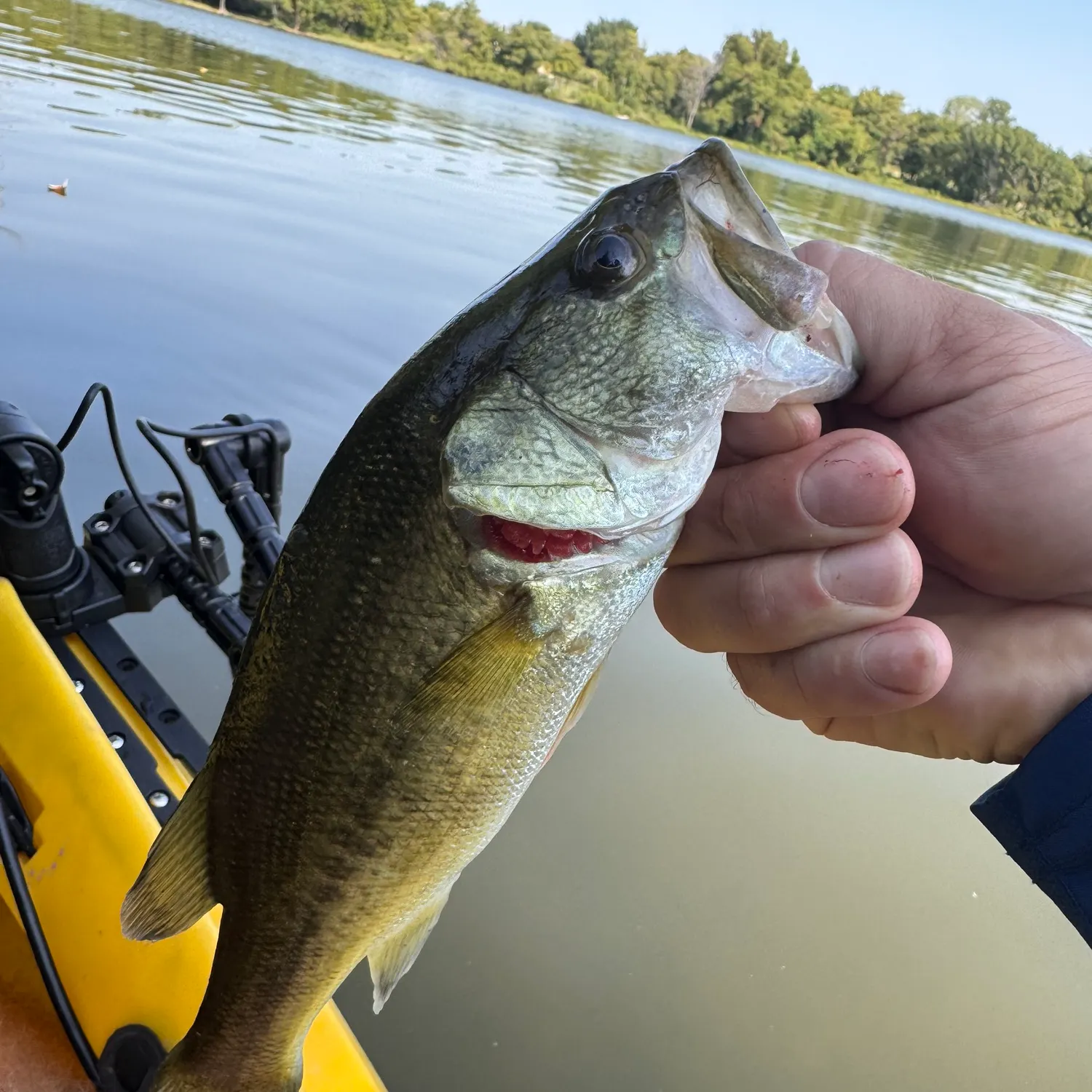 Fishing in Fort Worth, TX (United States) ️️️️ Find Spots, Species & Tips