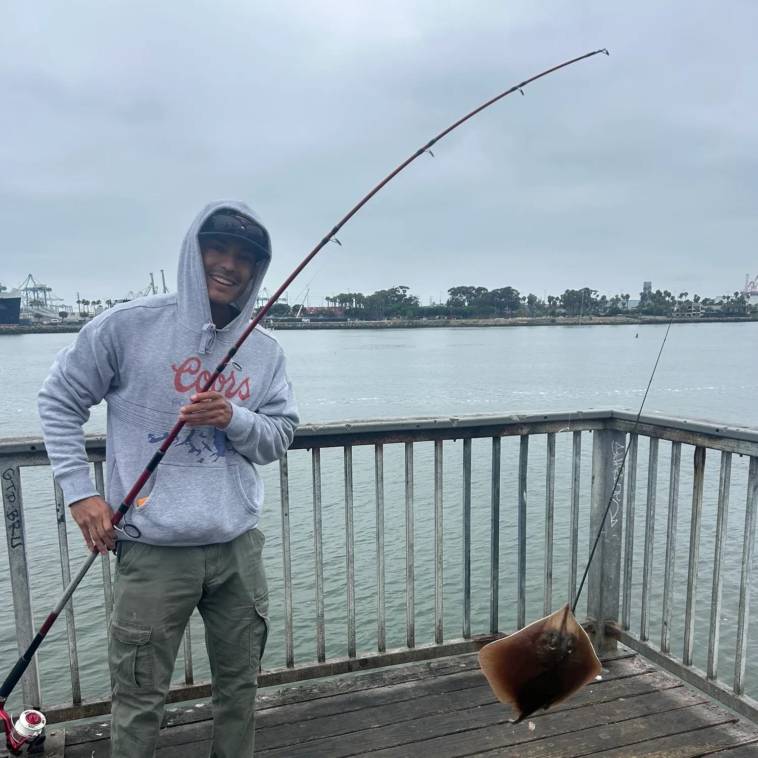 The most recent Diamond stingray catches on Fishbrain