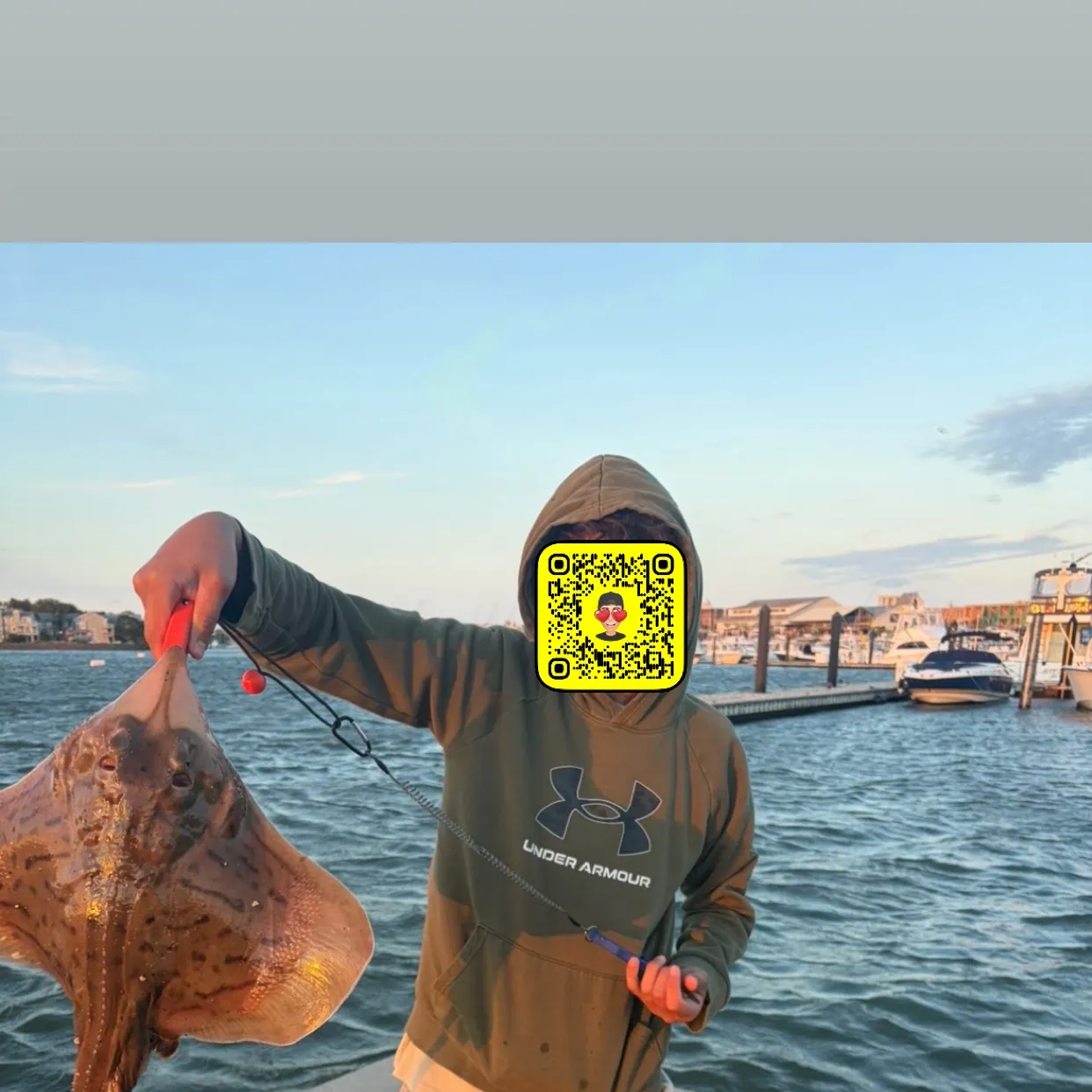 Blue skate caught on Fishbrain