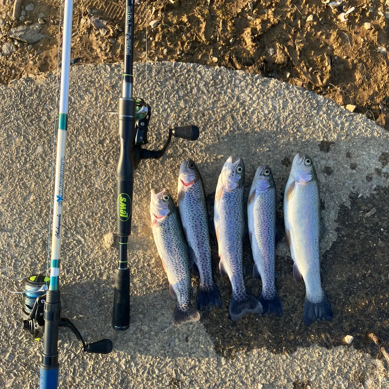 recently logged catches