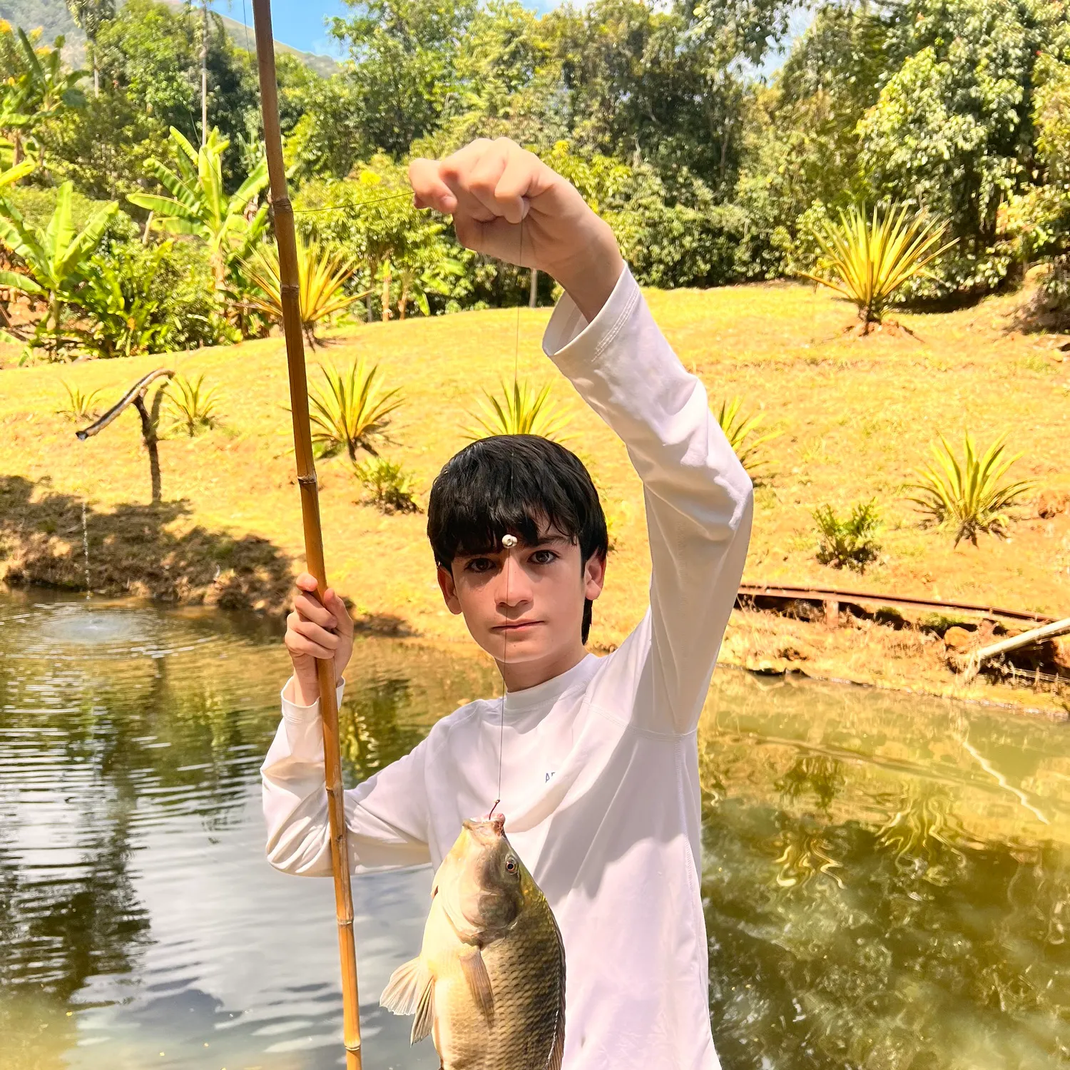 Nile tilapia caught on Fishbrain