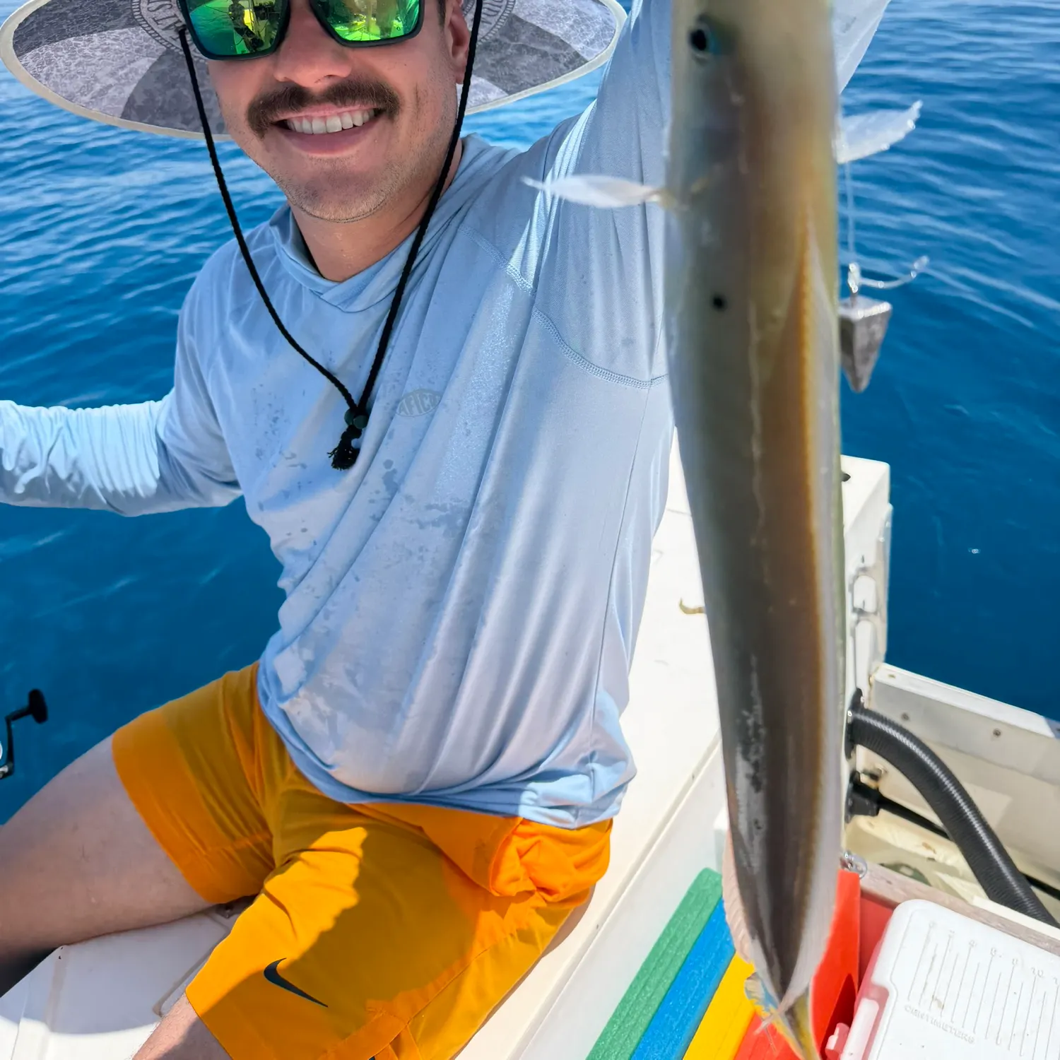 The most recent Sand tilefish catches on Fishbrain