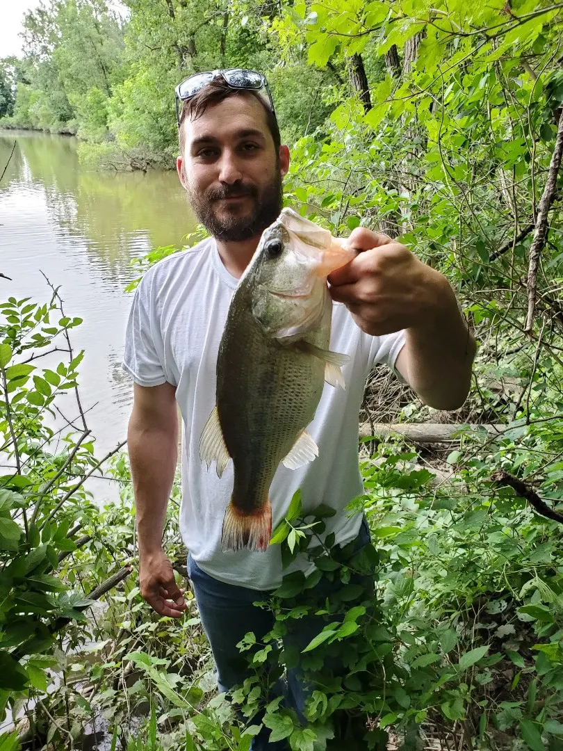 Post image from RiverRecon