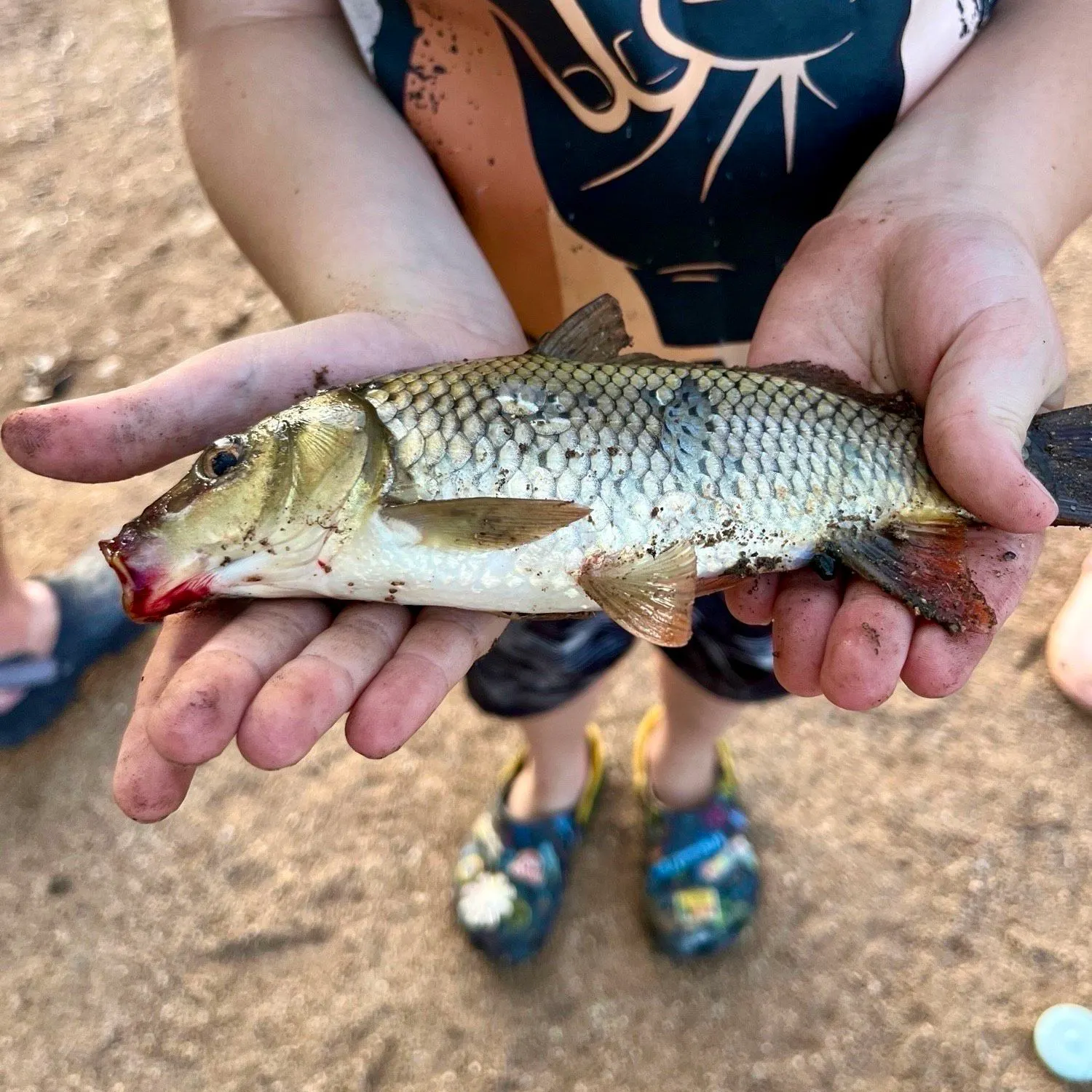 angler catch