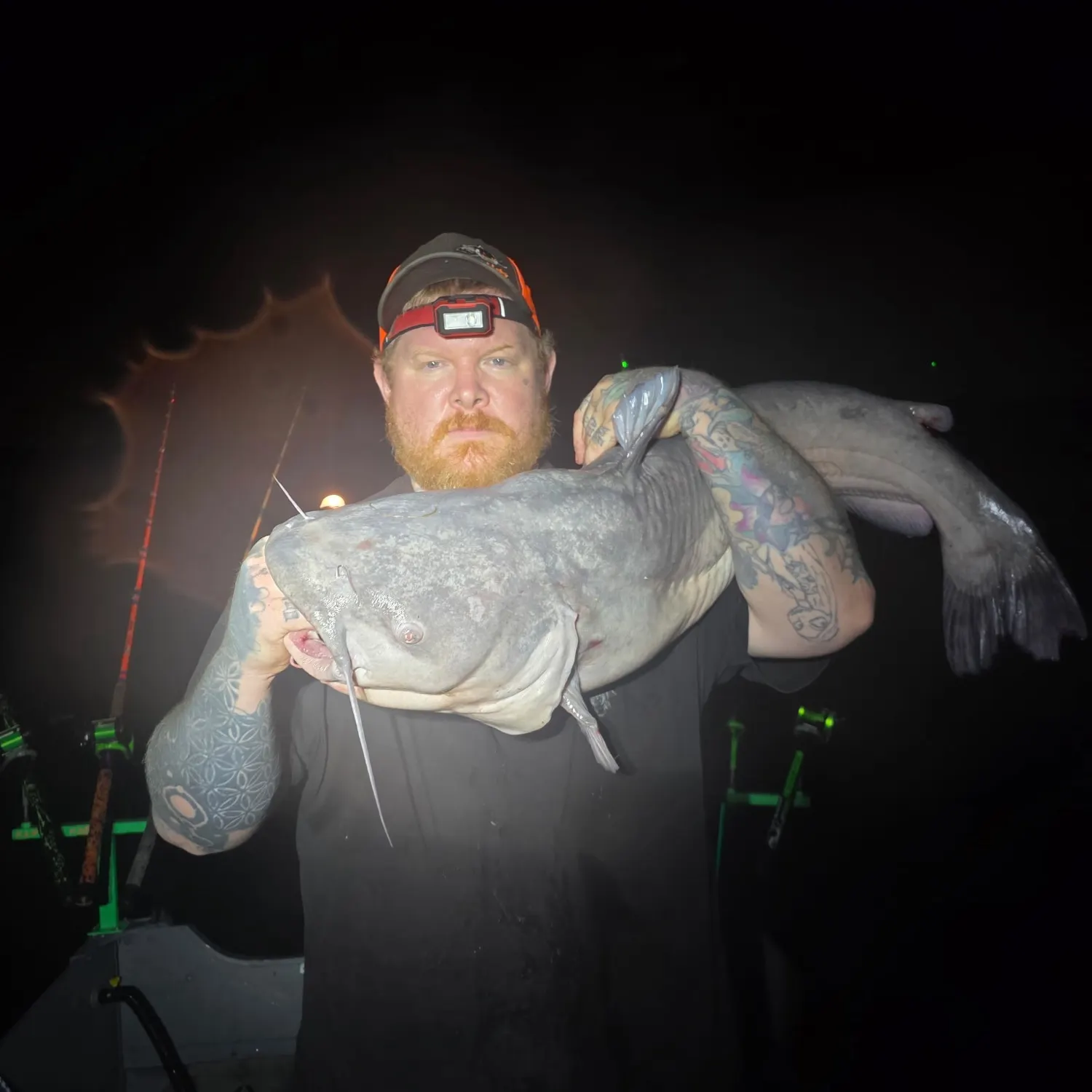Blue catfish caught on Fishbrain