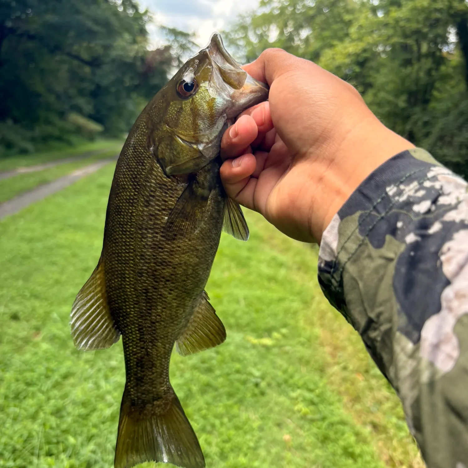 catch