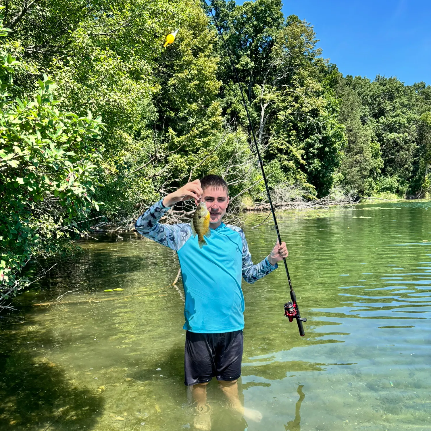 Bluegill caught on Fishbrain