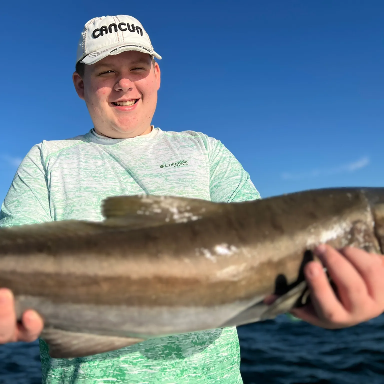 The most recent Cobia catches on Fishbrain