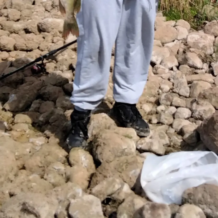 Northern pike caught on Fishbrain