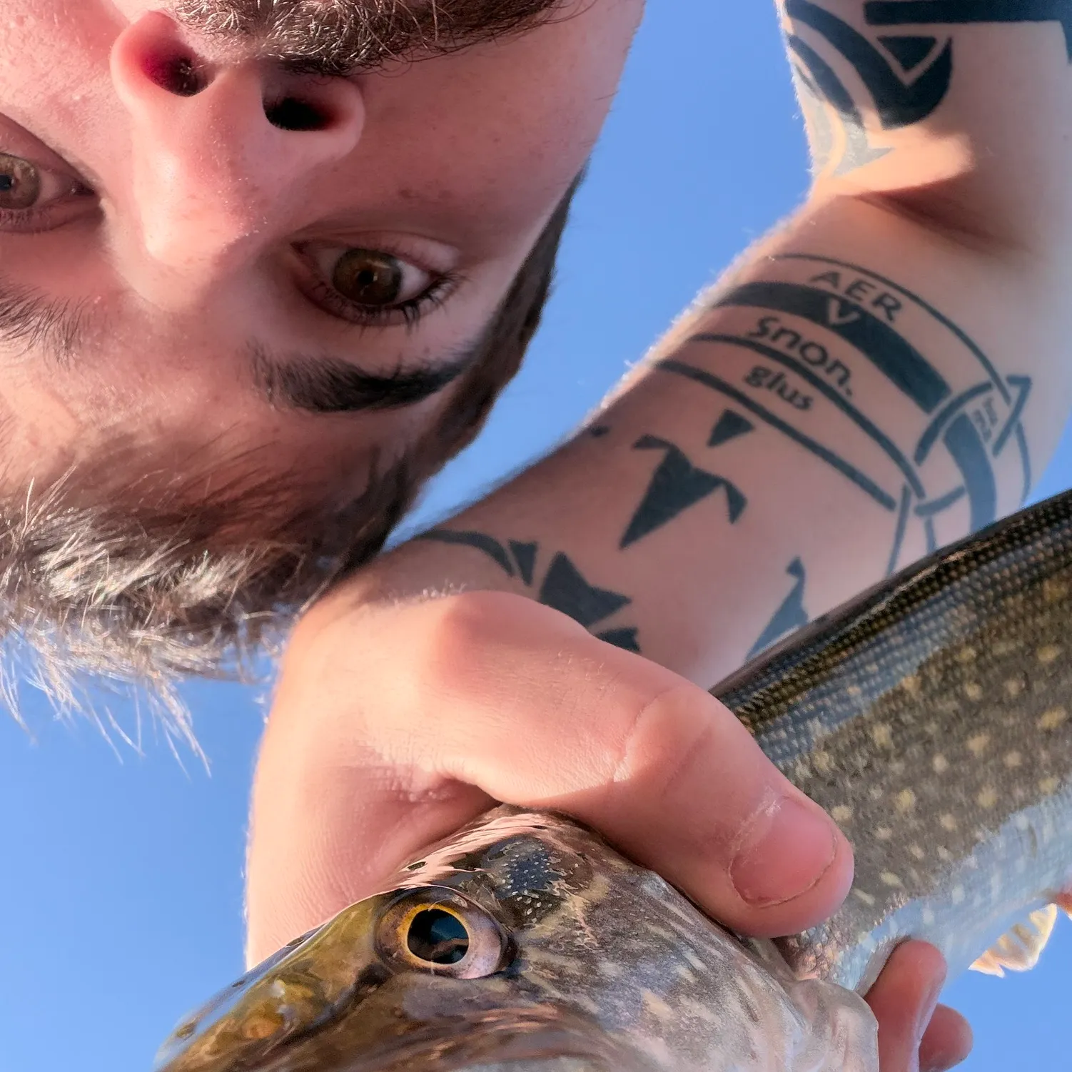 Mooneye caught on Fishbrain