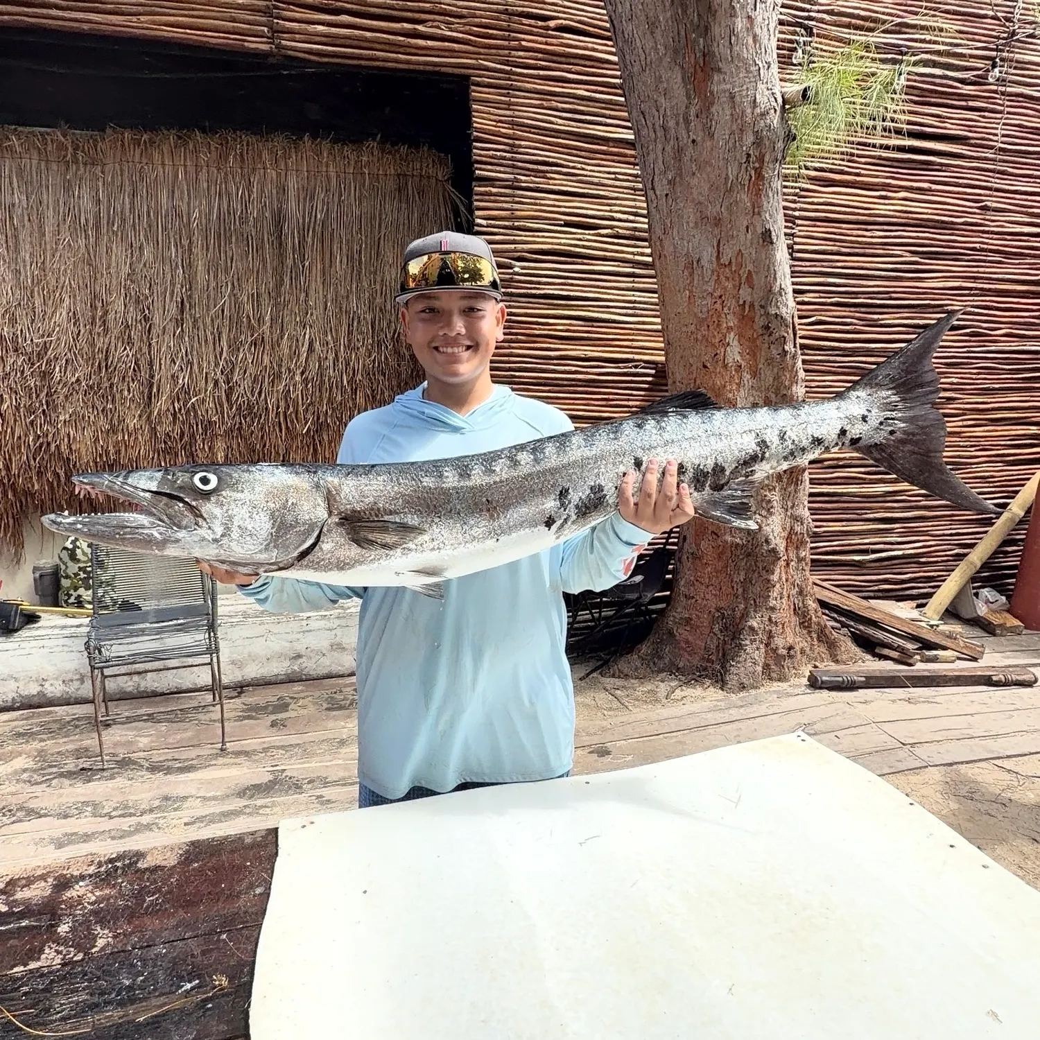 Great barracuda caught on Fishbrain