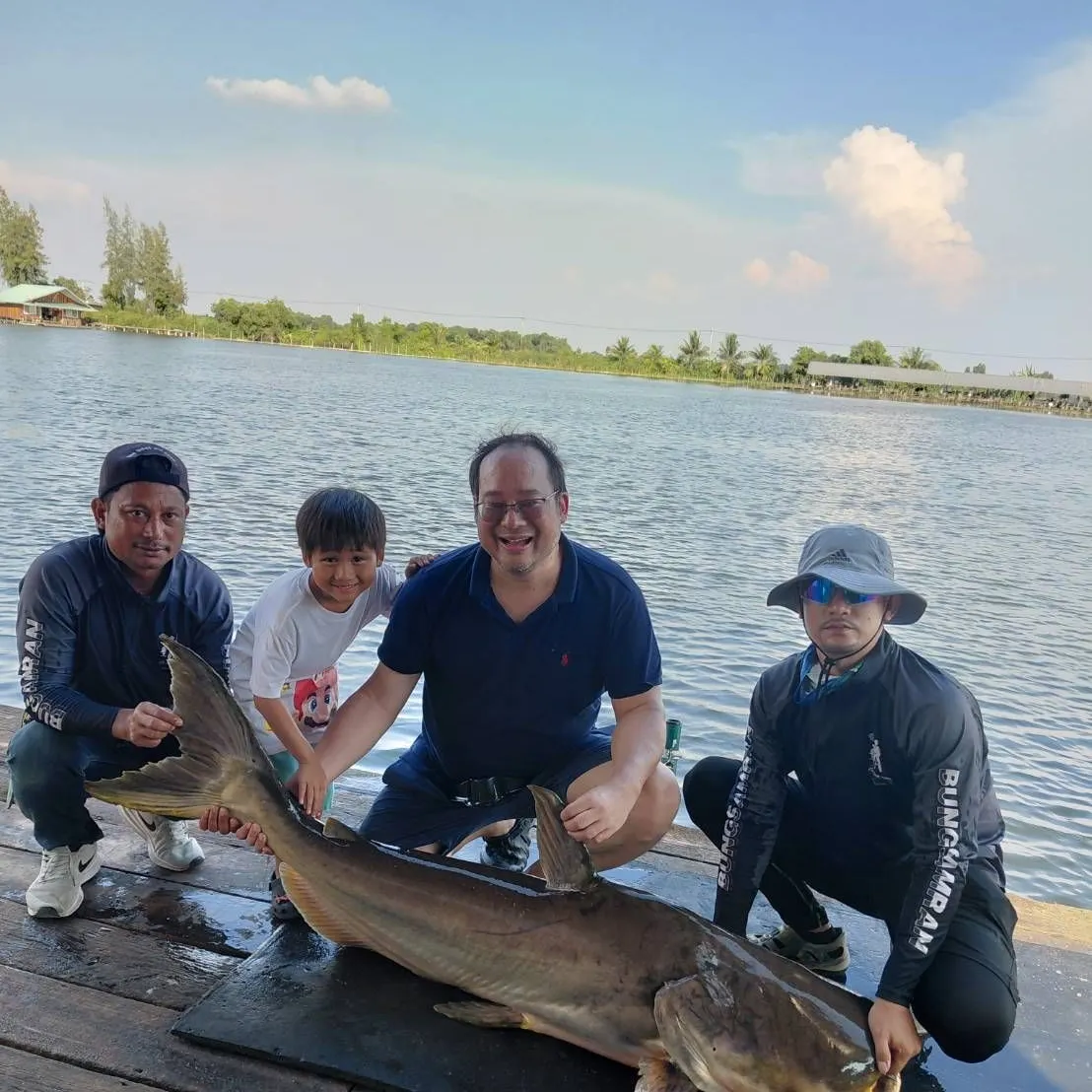 The most recent Mekong giant catfish catches on Fishbrain